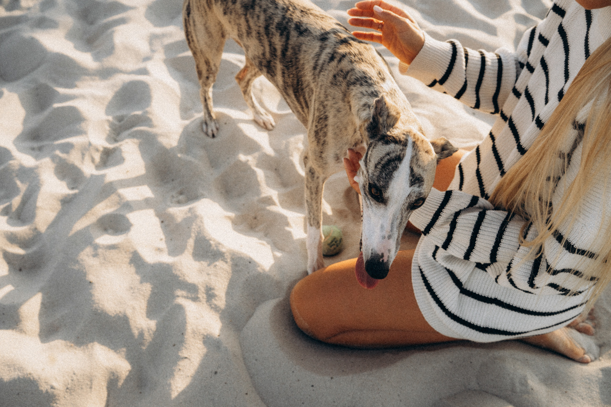 Аня и Джованни. Фотограф анималист в Москве и Санкт-Петербурге Свиридова Анна