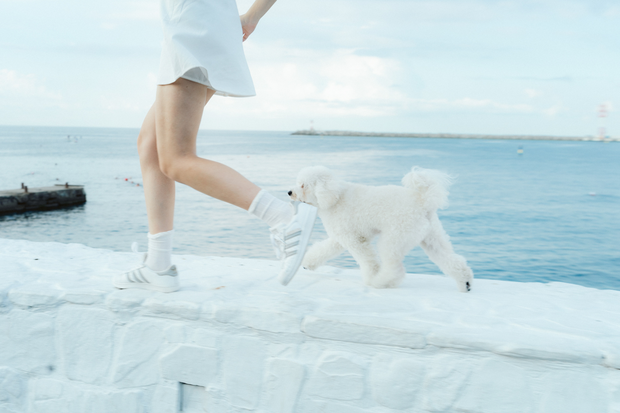 Ангелина и Варежка. Фотограф анималист в Москве и Санкт-Петербурге Свиридова Анна
