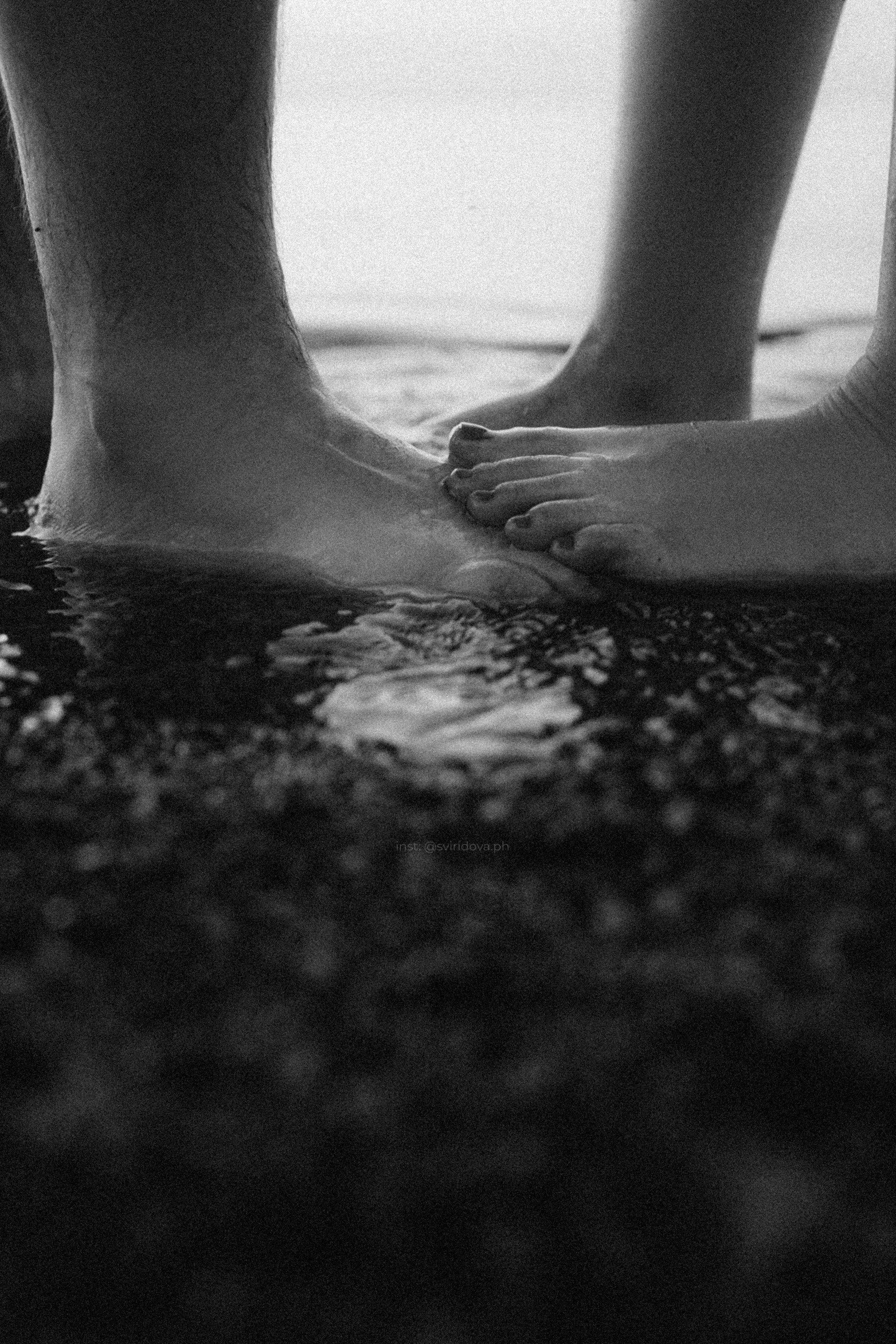 Даша, Сергей и Френки. Фотограф анималист в Москве и Санкт-Петербурге Свиридова Анна