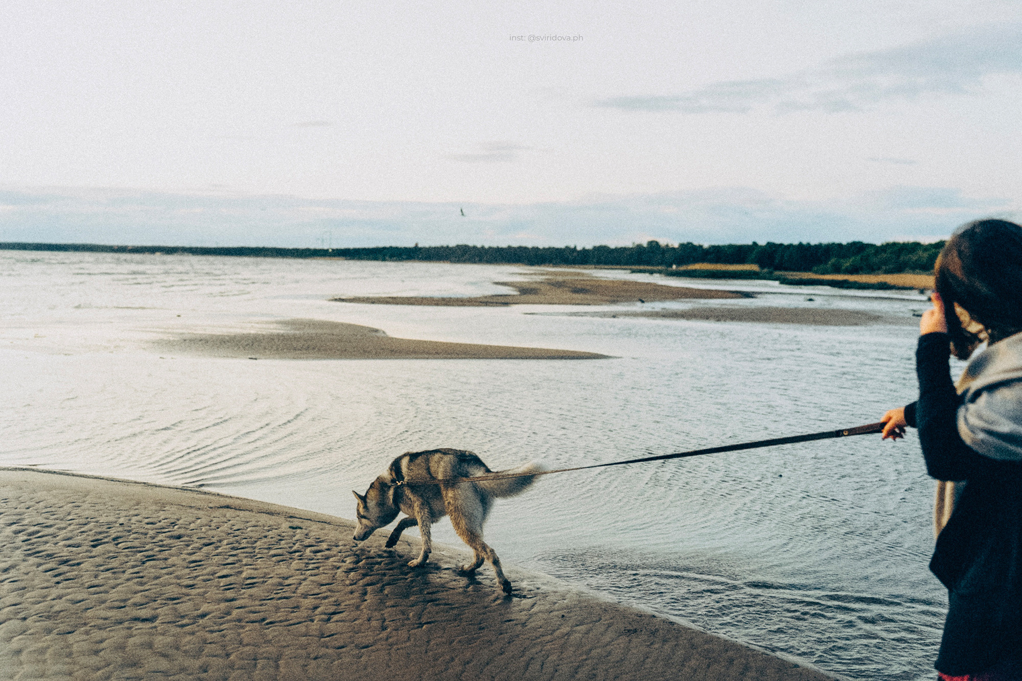 Катя, Илья, Лагерта. Фотограф анималист в Москве и Санкт-Петербурге Свиридова Анна