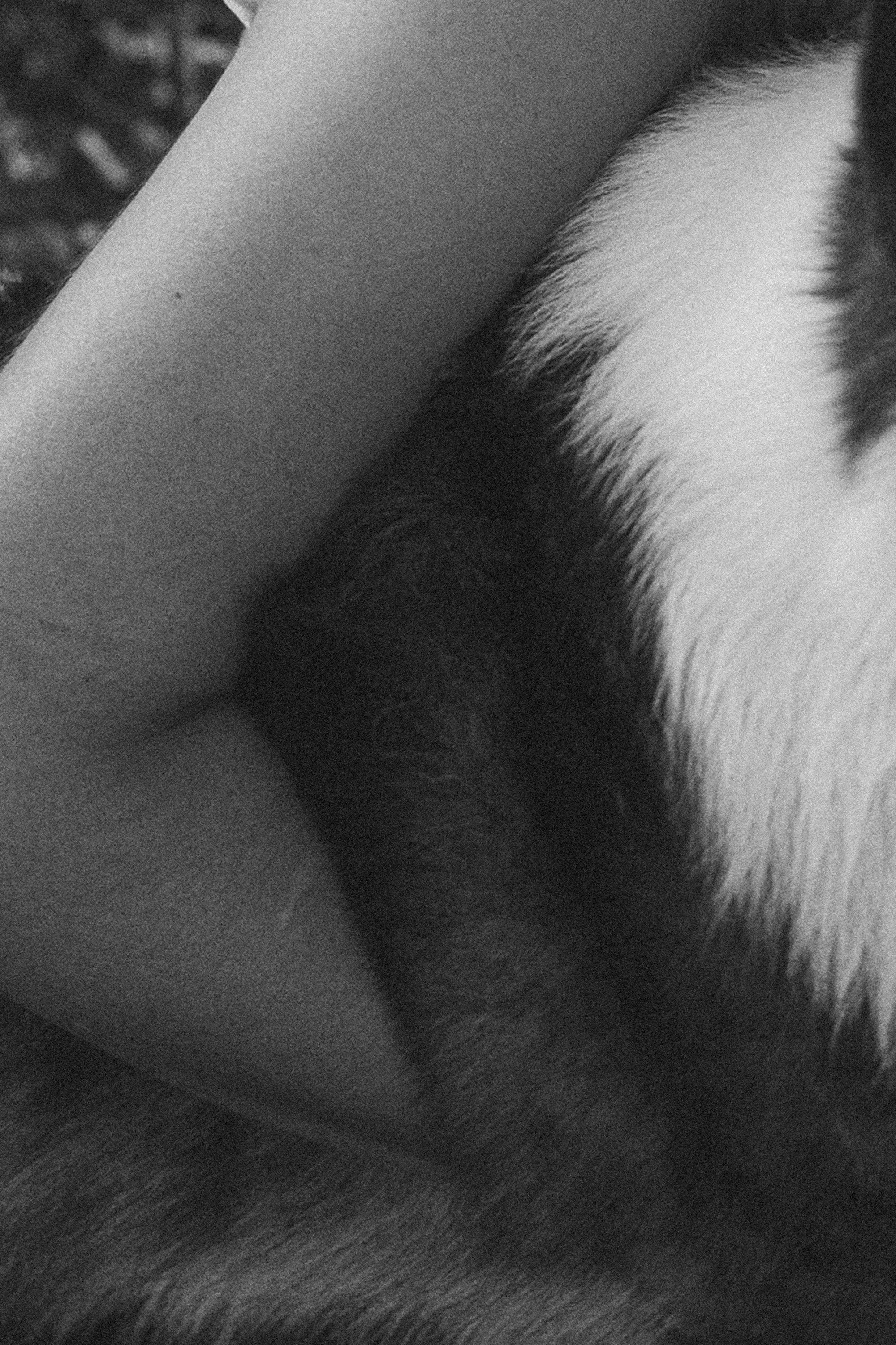 Влада и Коржики. Фотограф анималист в Москве и Санкт-Петербурге Свиридова Анна