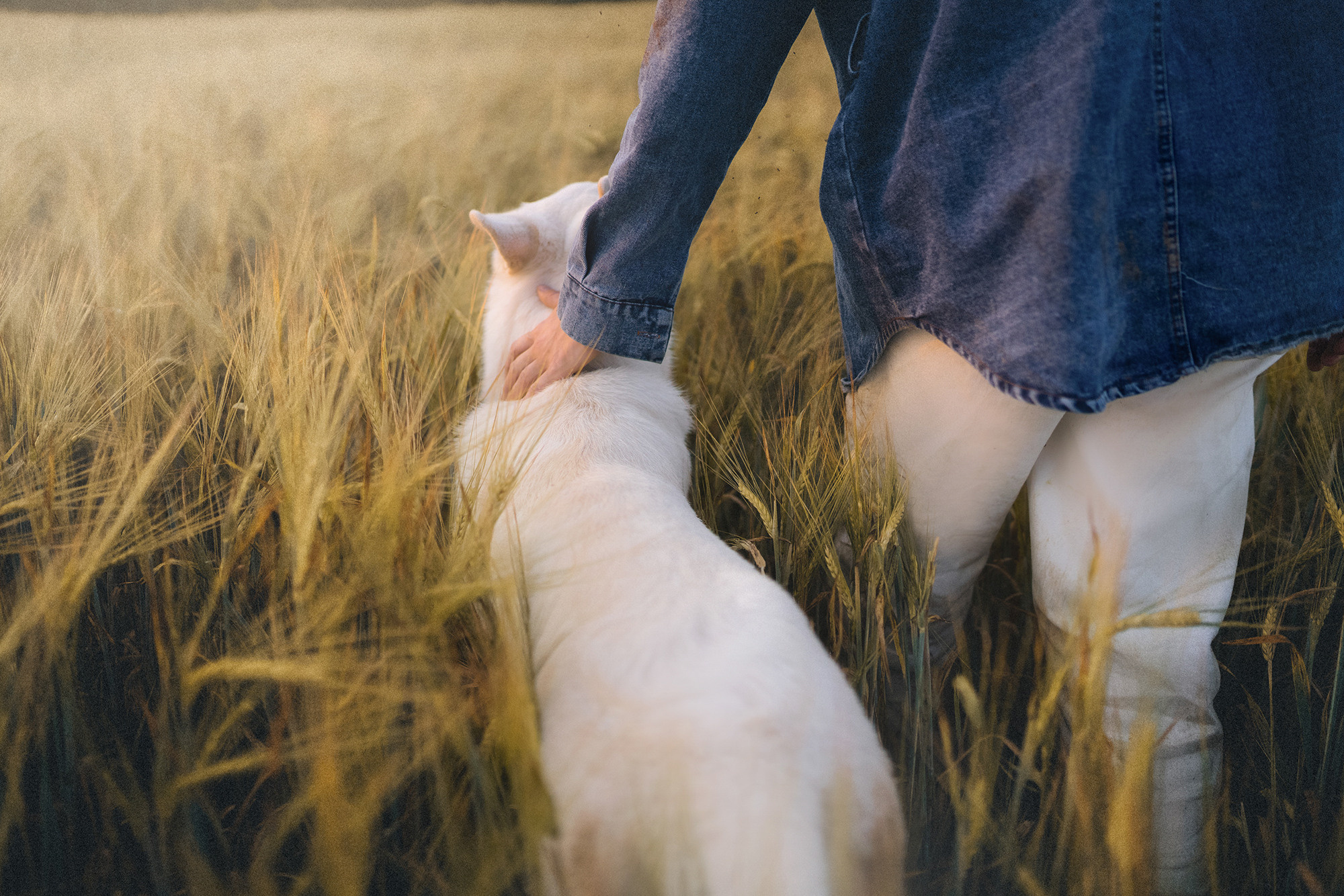 Лиза и Юста. Фотограф анималист в Москве и Санкт-Петербурге Свиридова Анна