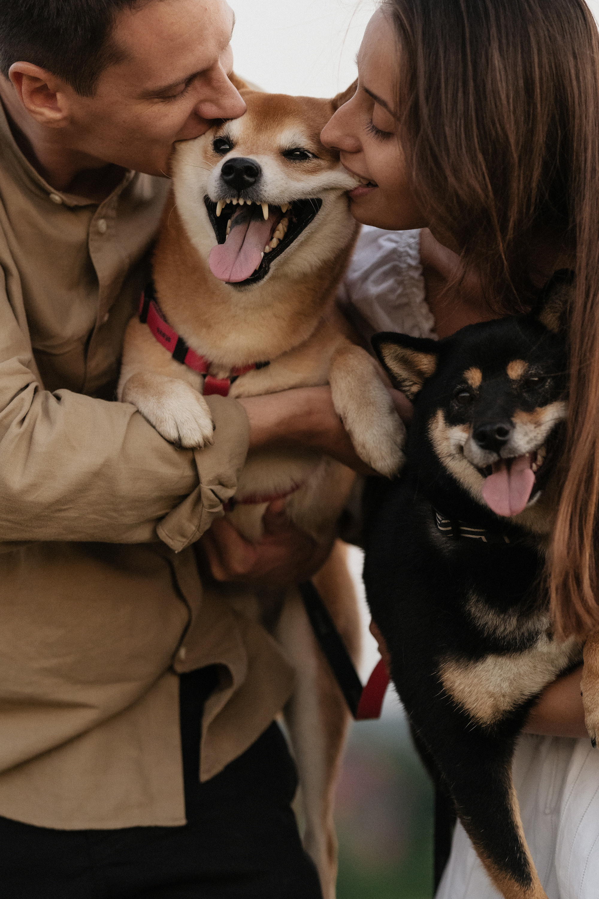 Катя, Вася, Роки и Бэлла. Фотограф анималист в Москве и Санкт-Петербурге Свиридова Анна