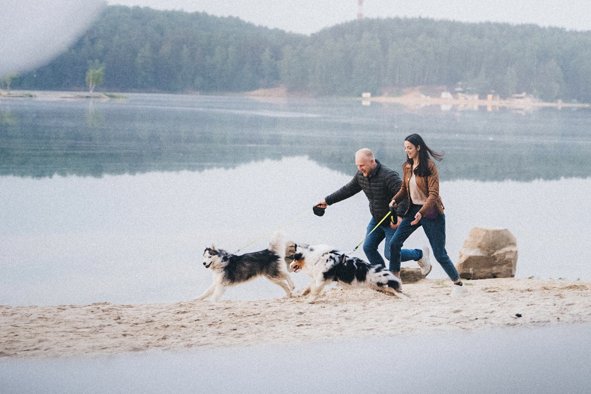 Аня, Игорь, Аусь и Хась. Фотограф анималист в Москве и Санкт-Петербурге Свиридова Анна