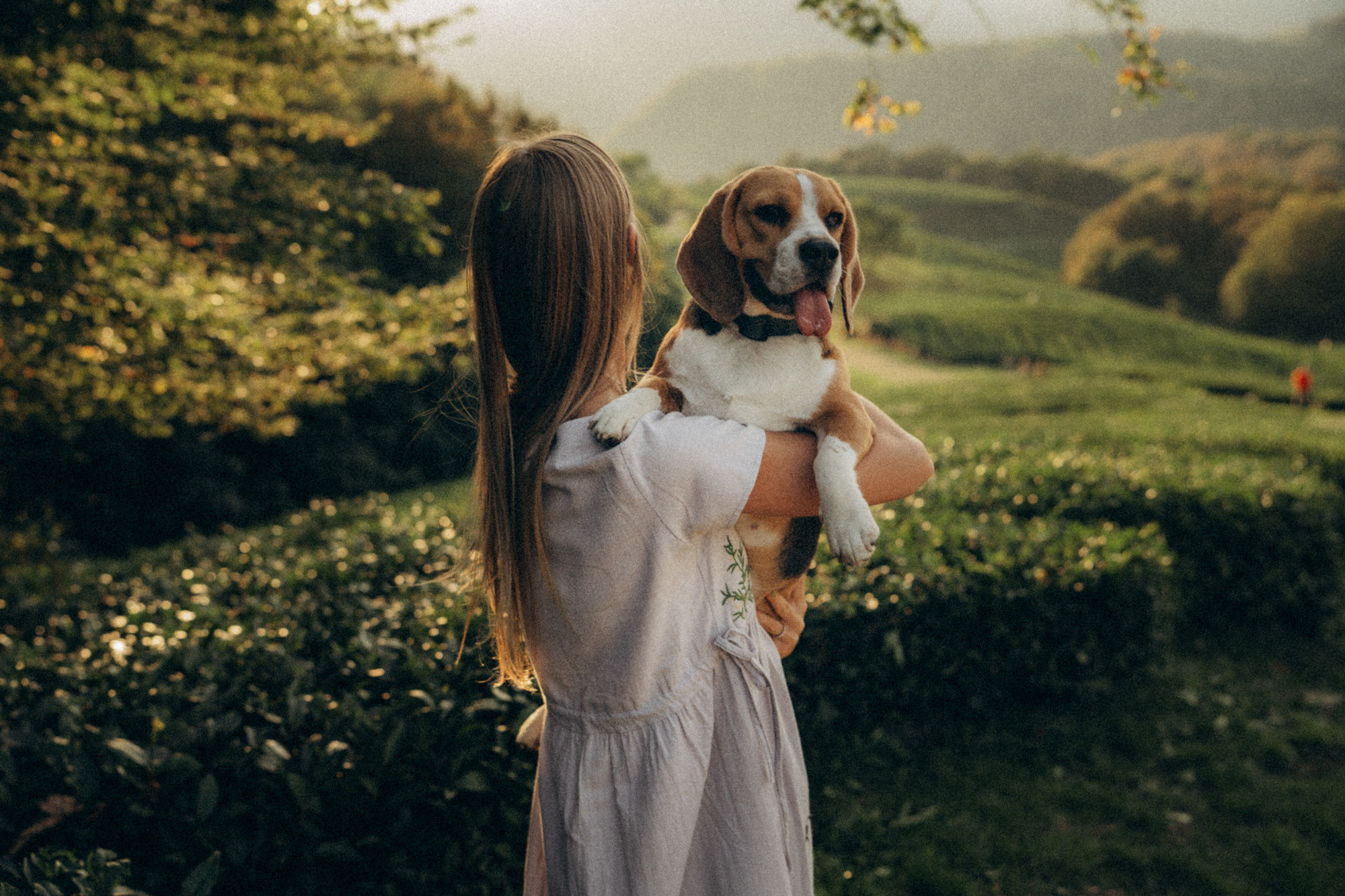 Женя и Мира. Фотограф анималист в Москве и Санкт-Петербурге Свиридова Анна