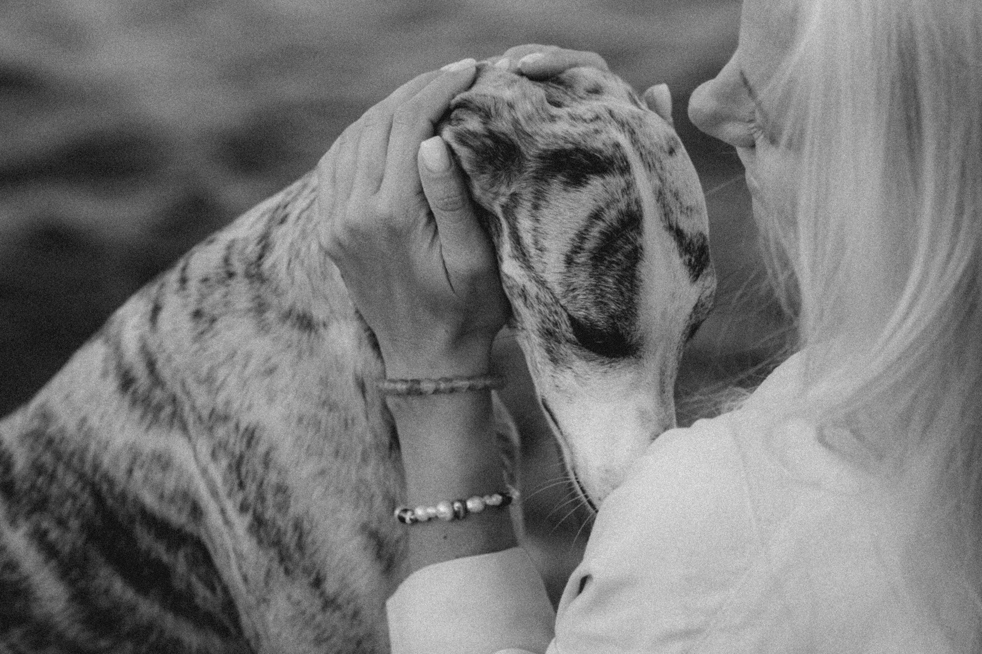 Аня и Джованни. Фотограф анималист в Москве и Санкт-Петербурге Свиридова Анна