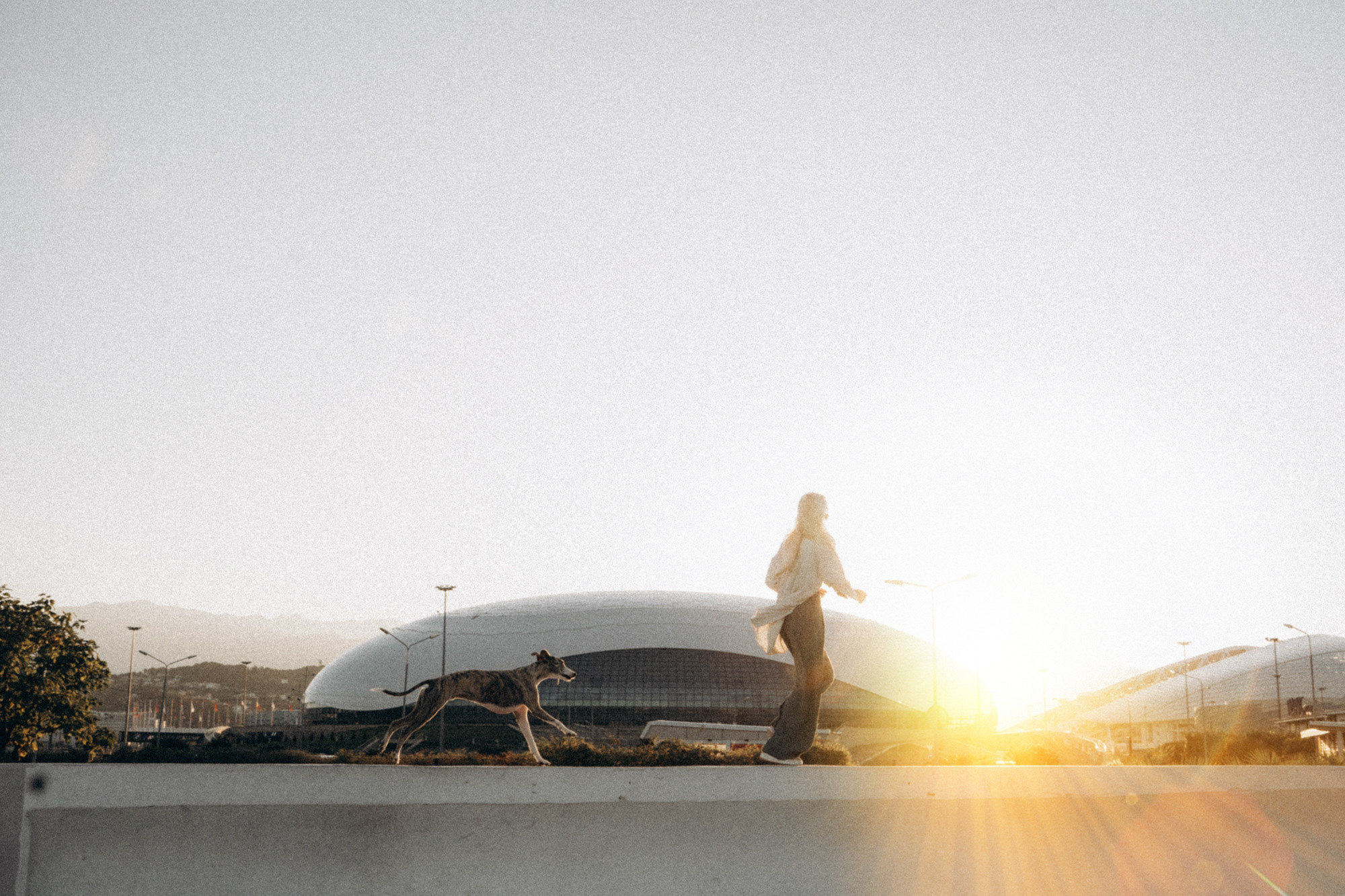 Аня и Джованни. Фотограф анималист в Москве и Санкт-Петербурге Свиридова Анна