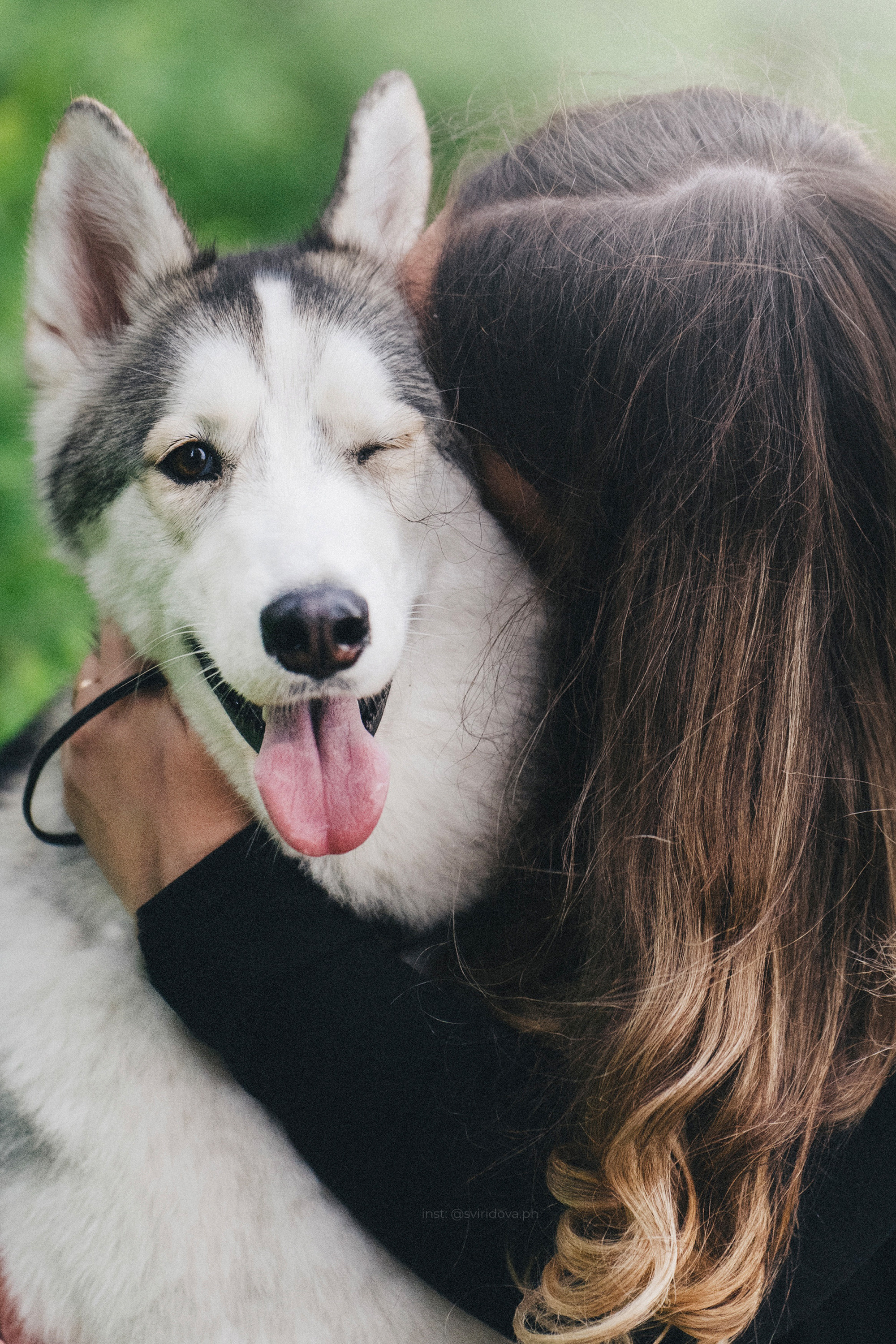 Катя, Илья, Лагерта. Фотограф анималист в Москве и Санкт-Петербурге Свиридова Анна