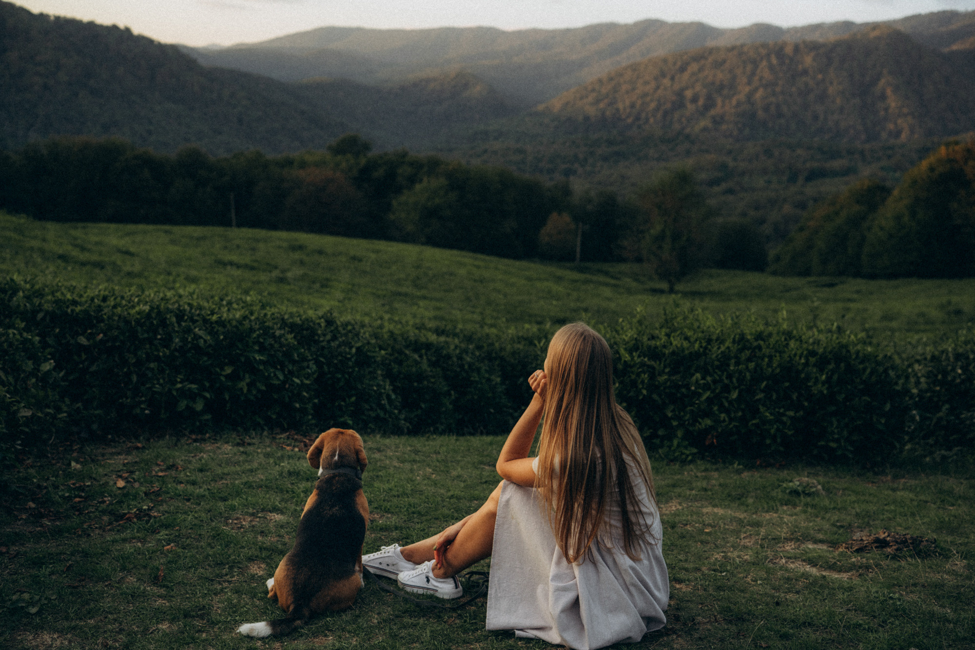 Женя и Мира. Фотограф анималист в Москве и Санкт-Петербурге Свиридова Анна