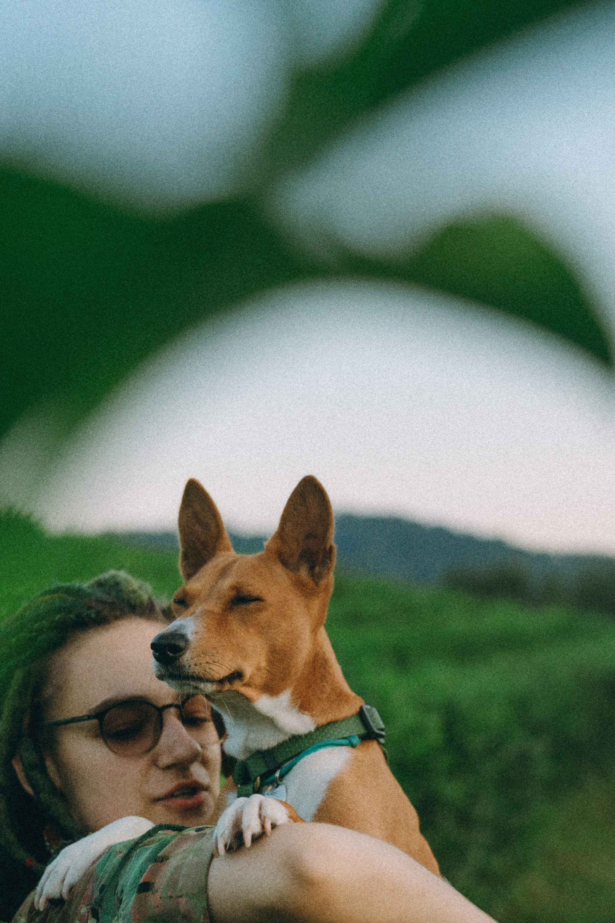 Арина и Рики. Фотограф анималист в Москве и Санкт-Петербурге Свиридова Анна