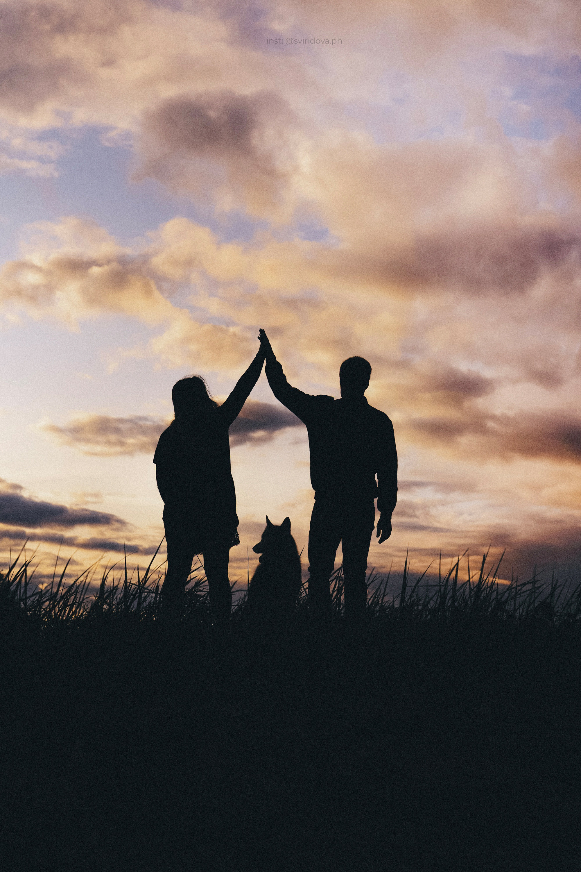 Катя, Илья, Лагерта. Фотограф анималист в Москве и Санкт-Петербурге Свиридова Анна