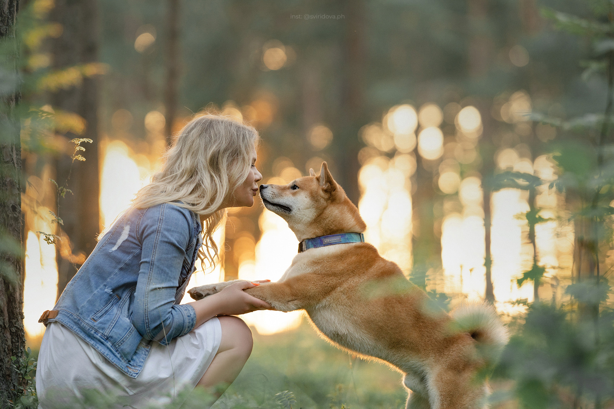 Даша, Сергей и Френки. Фотограф анималист в Москве и Санкт-Петербурге Свиридова Анна