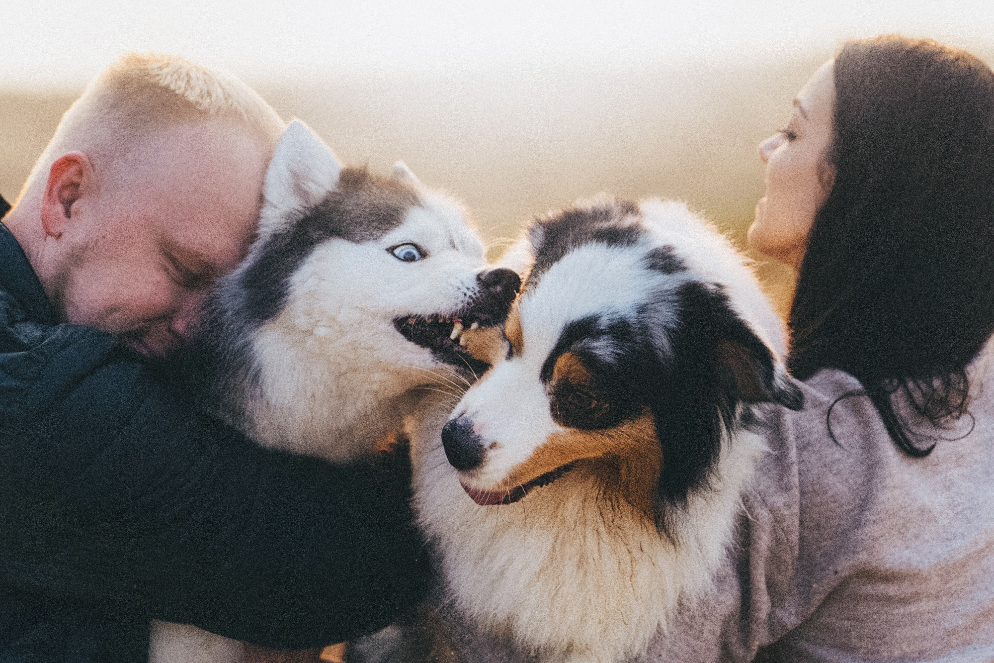 Аня, Игорь, Аусь и Хась. Фотограф анималист в Москве и Санкт-Петербурге Свиридова Анна