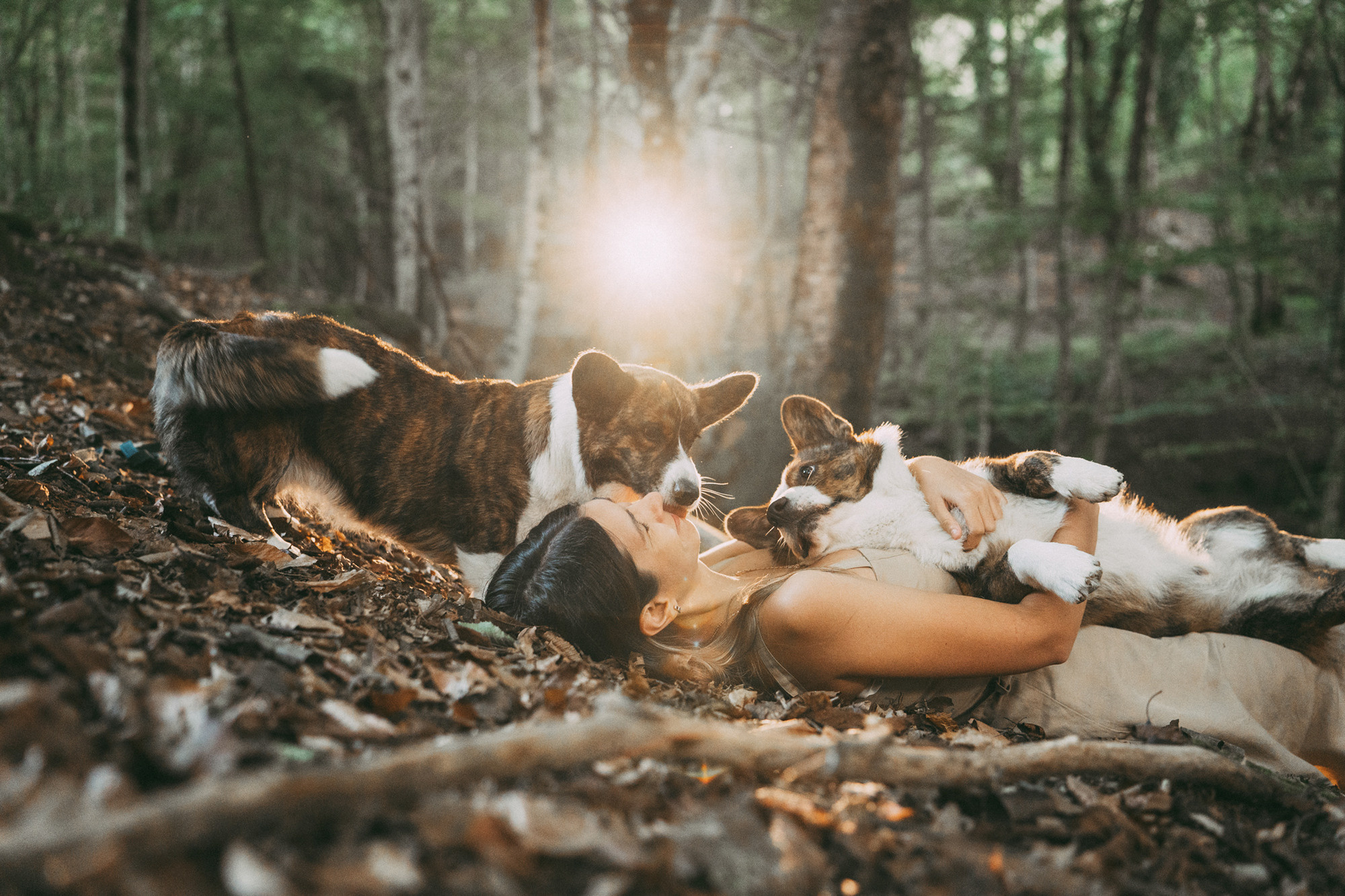 Влада и Коржики. Фотограф анималист в Москве и Санкт-Петербурге Свиридова Анна