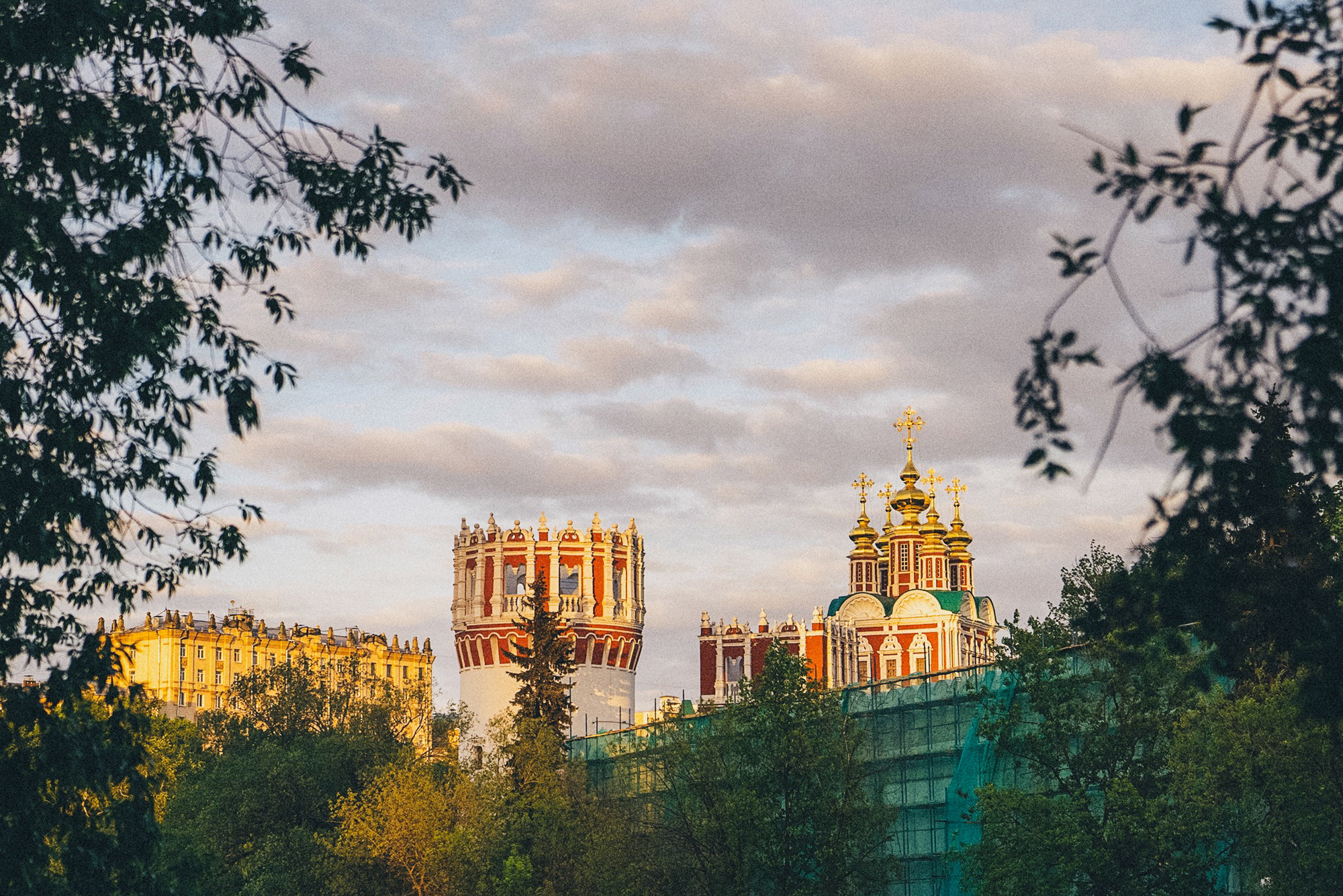 Амина, Андрей и Умка. Фотограф анималист в Москве и Санкт-Петербурге Свиридова Анна