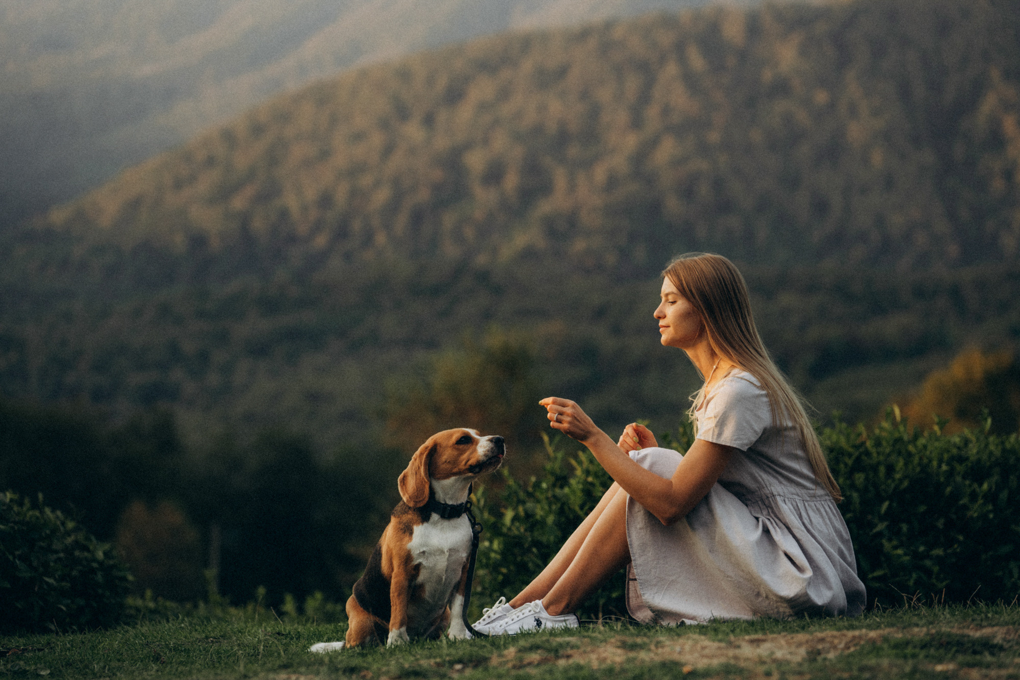 Женя и Мира. Фотограф анималист в Москве и Санкт-Петербурге Свиридова Анна