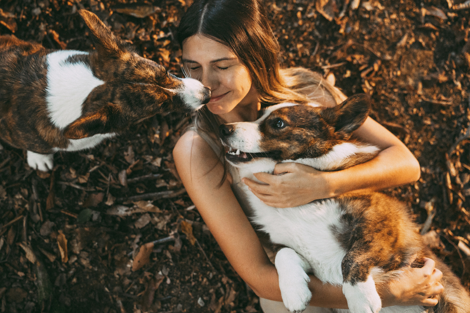 Влада и Коржики. Фотограф анималист в Москве и Санкт-Петербурге Свиридова Анна