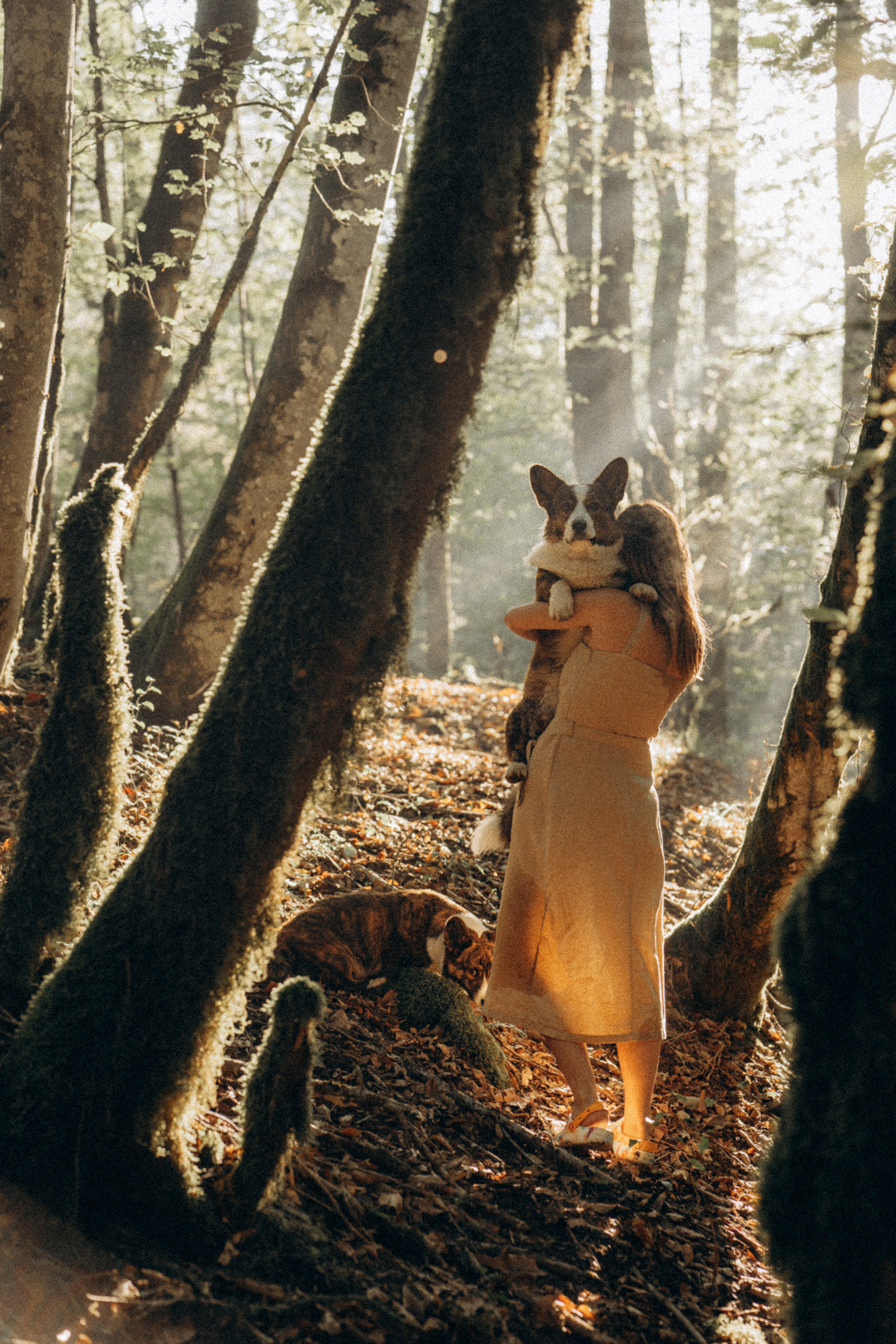 Влада и Коржики. Фотограф анималист в Москве и Санкт-Петербурге Свиридова Анна
