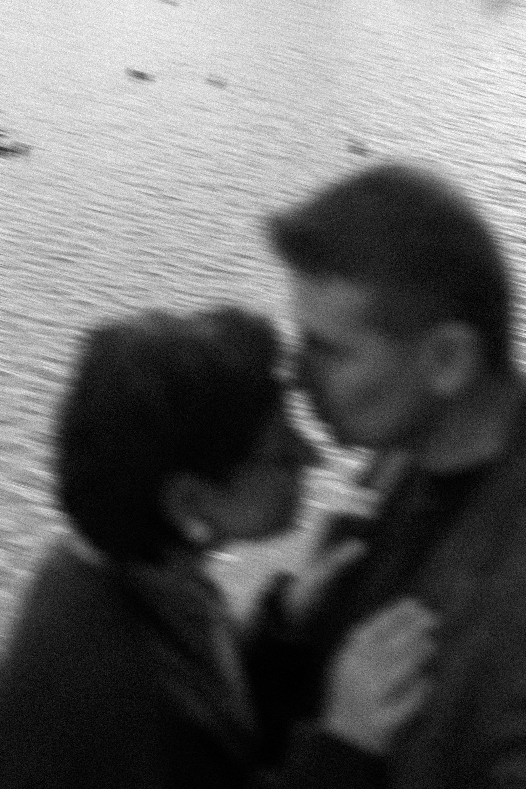 Амина, Андрей и Умка. Фотограф анималист в Москве и Санкт-Петербурге Свиридова Анна