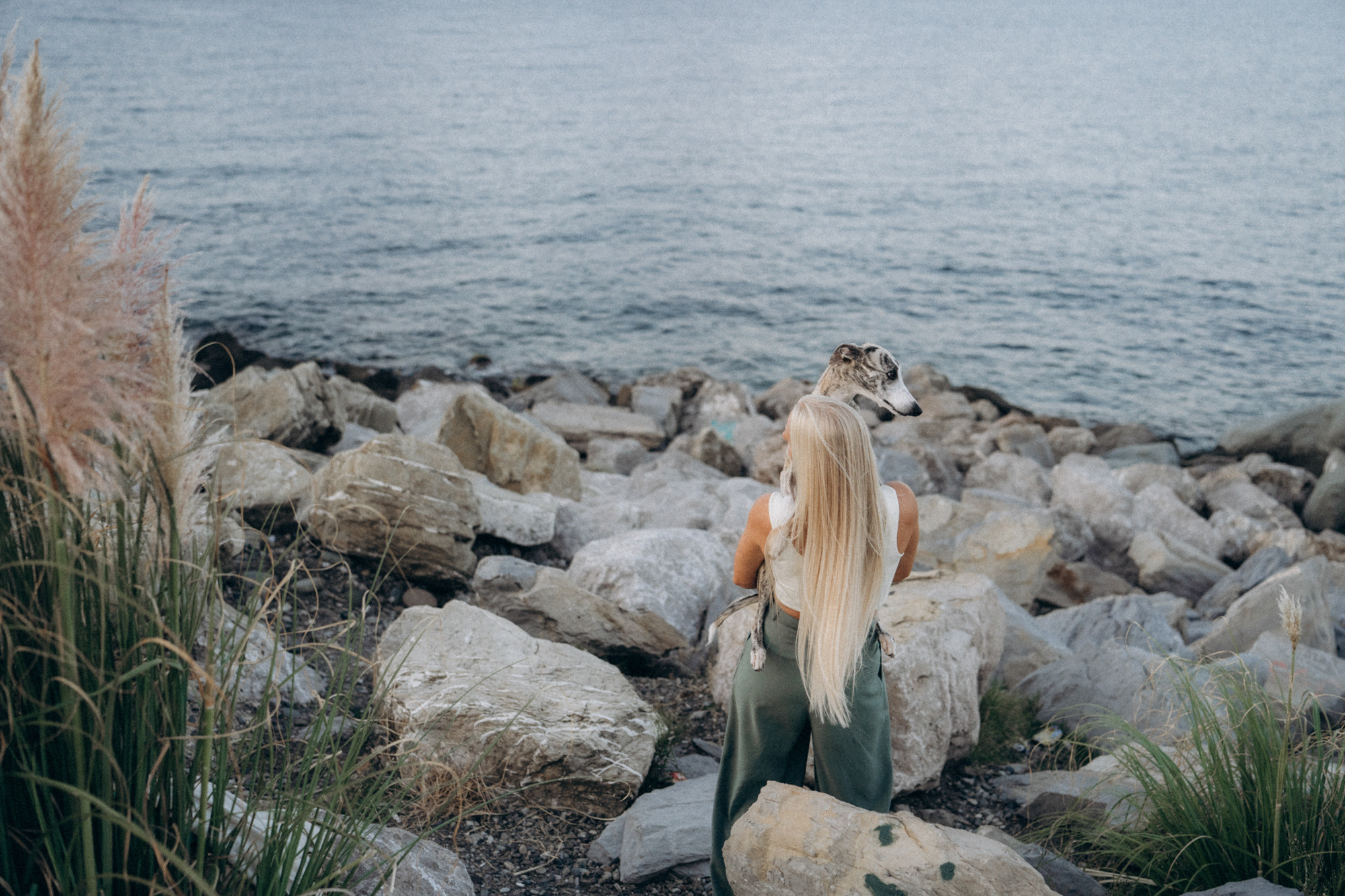 Аня и Джованни. Фотограф анималист в Москве и Санкт-Петербурге Свиридова Анна
