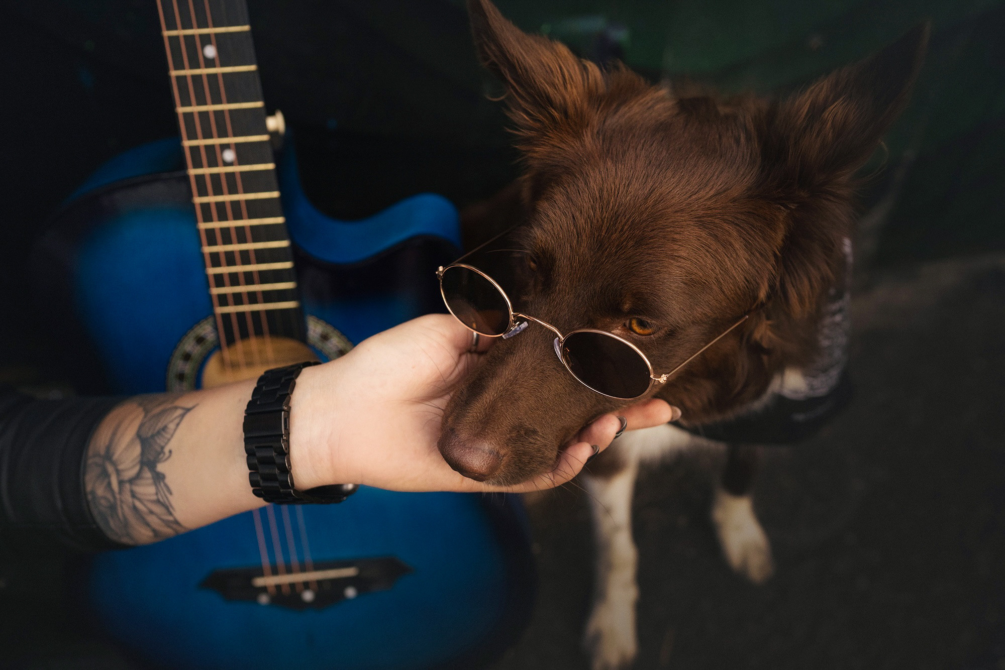 Аня и Брук. Фотограф анималист в Москве и Санкт-Петербурге Свиридова Анна
