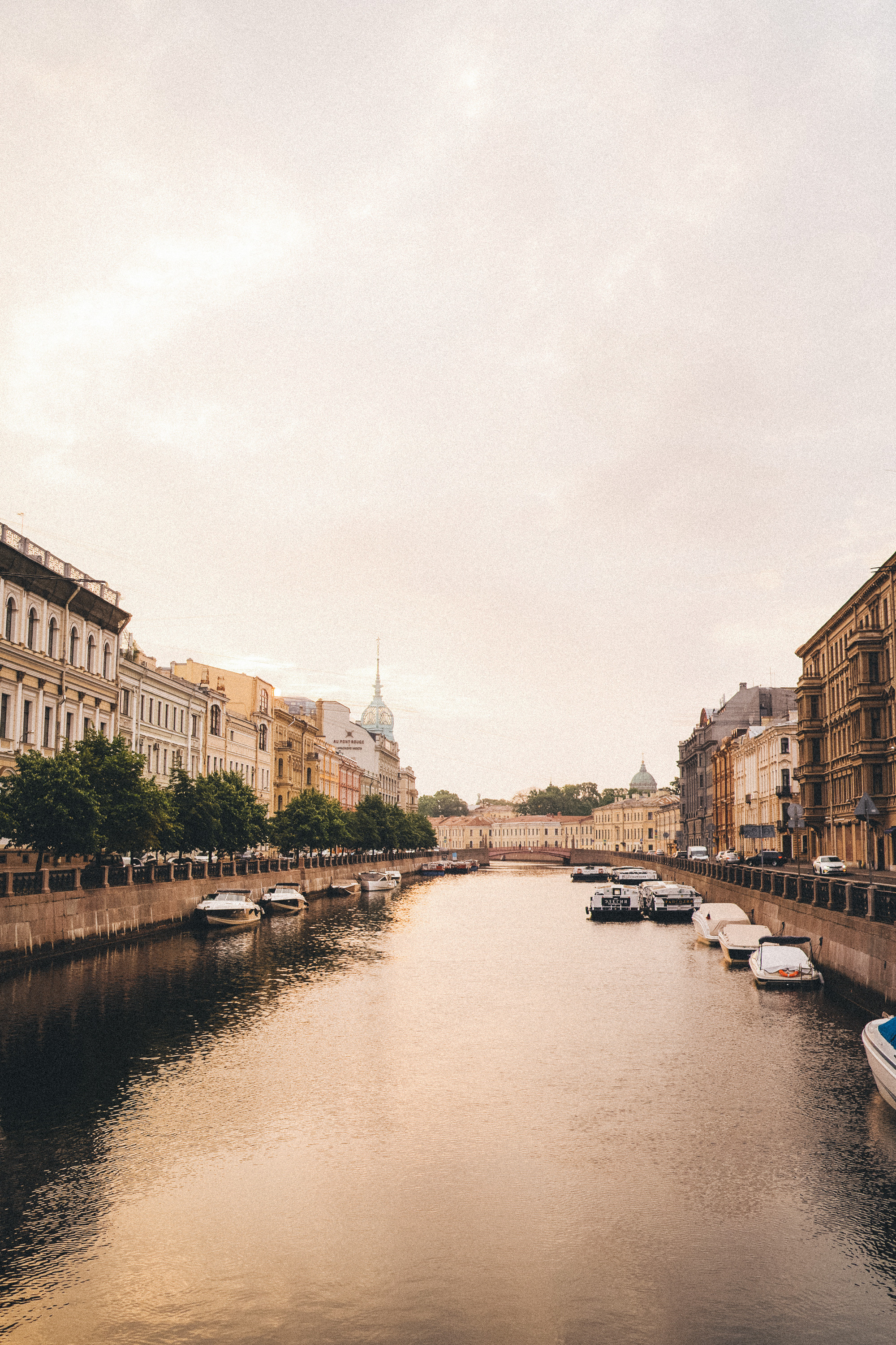 Таня и Лео. Фотограф анималист в Москве и Санкт-Петербурге Свиридова Анна