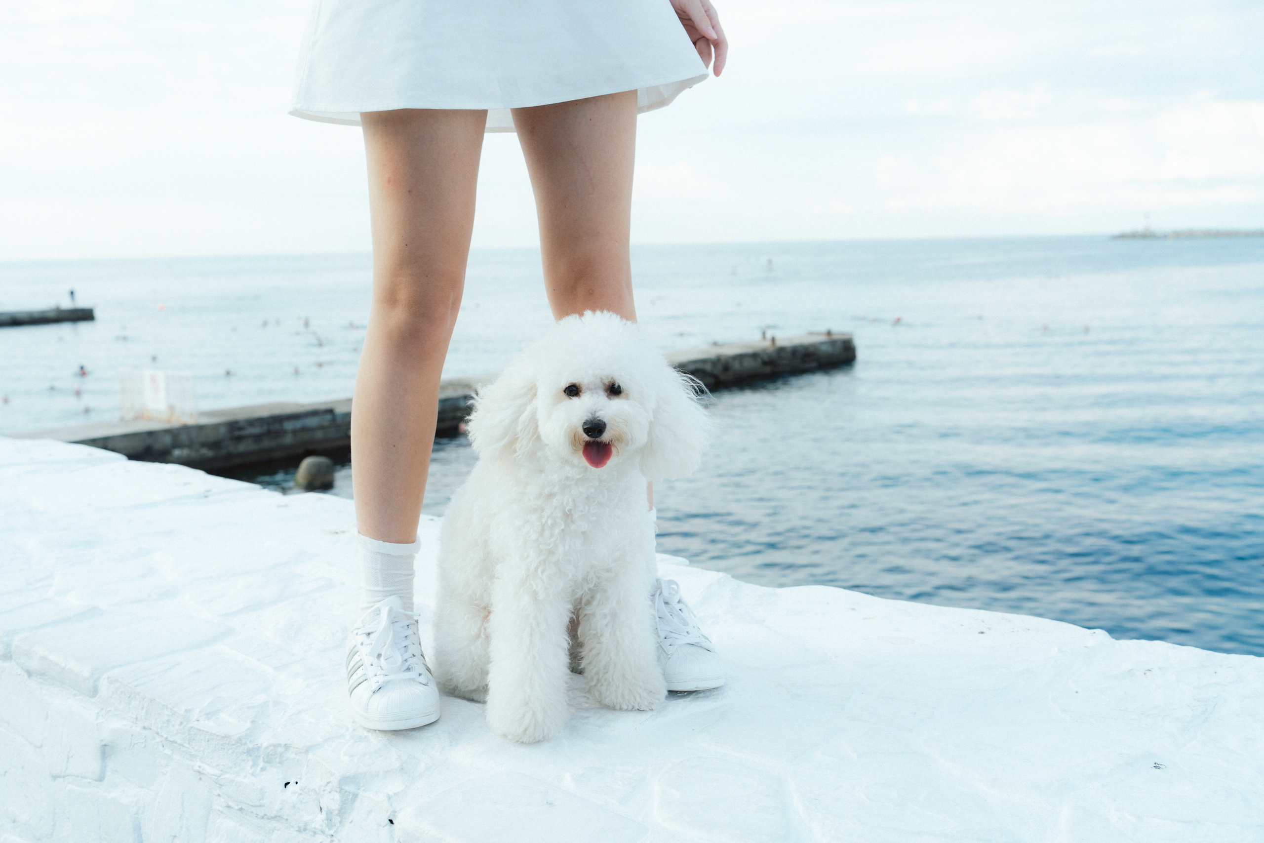 Ангелина и Варежка. Фотограф анималист в Москве и Санкт-Петербурге Свиридова Анна