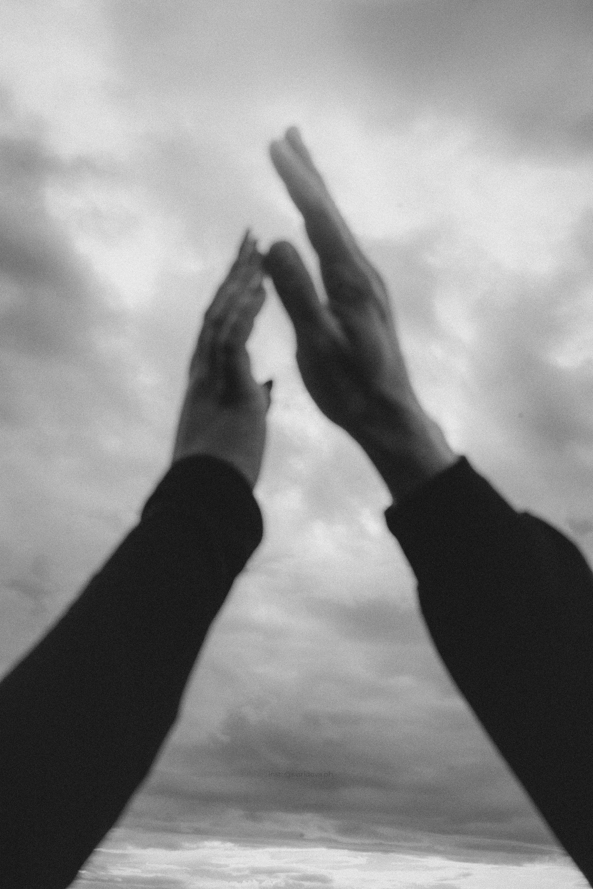 Катя, Илья, Лагерта. Фотограф анималист в Москве и Санкт-Петербурге Свиридова Анна