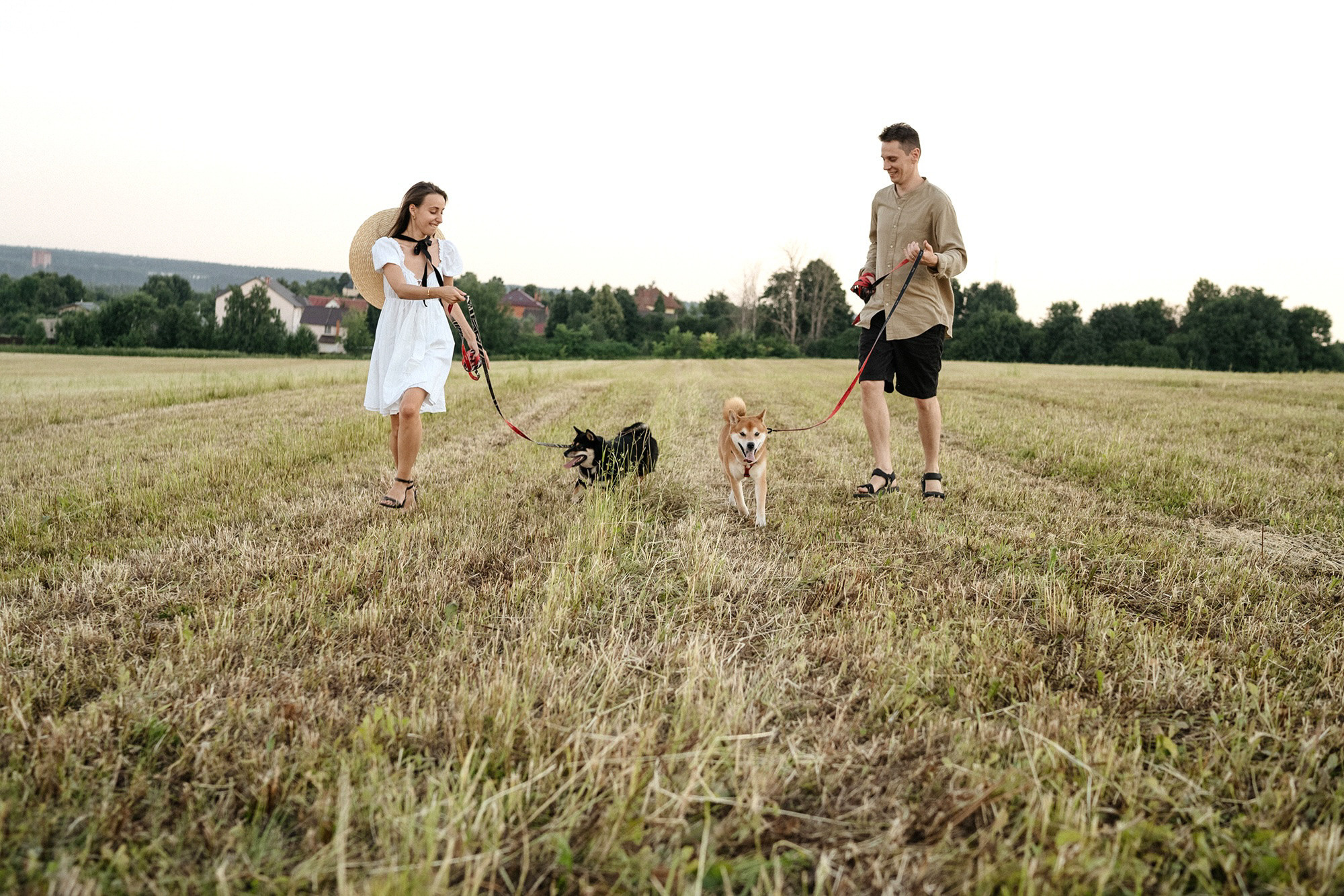 Катя, Вася, Роки и Бэлла. Фотограф анималист в Москве и Санкт-Петербурге Свиридова Анна