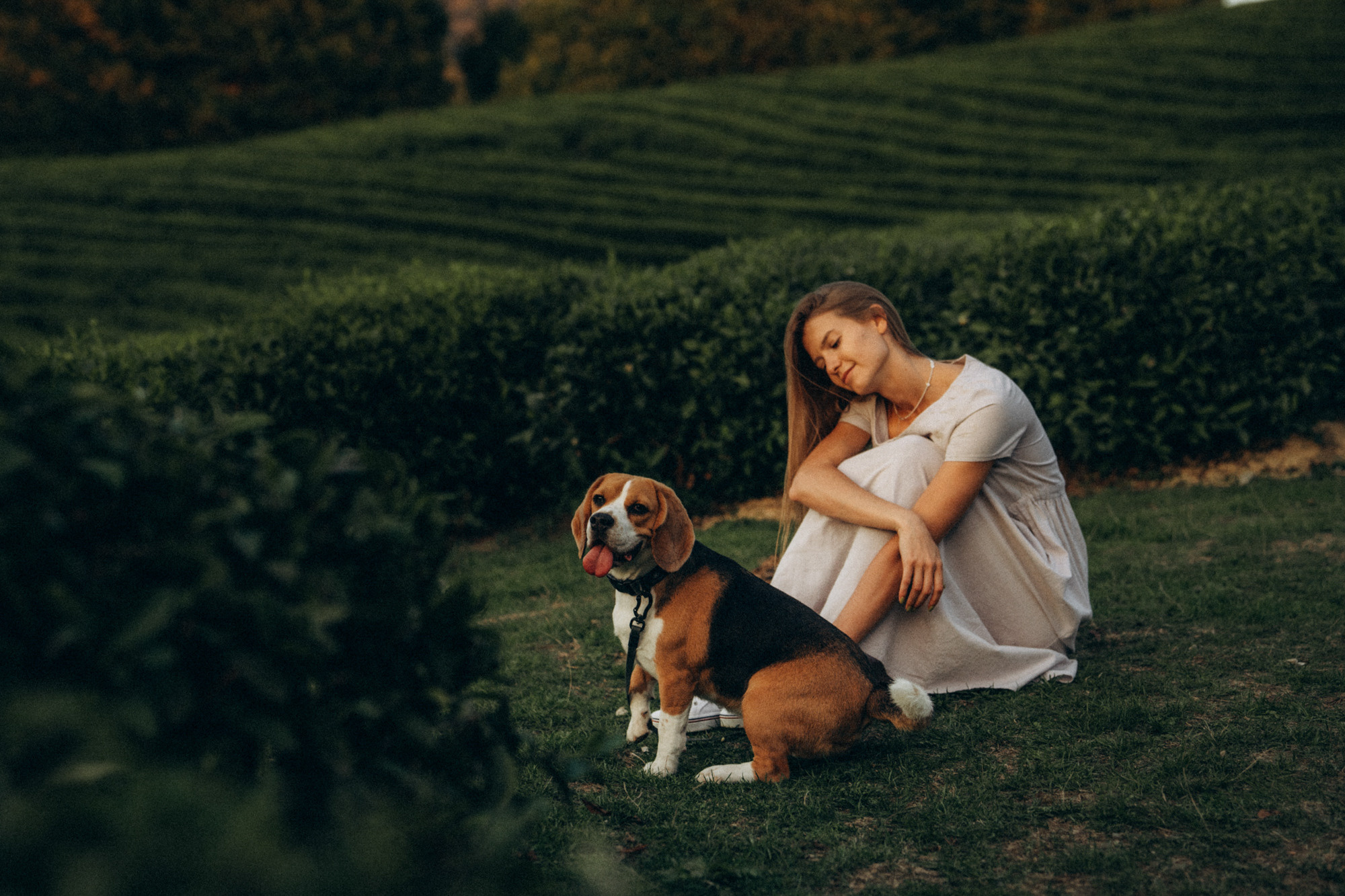 Женя и Мира. Фотограф анималист в Москве и Санкт-Петербурге Свиридова Анна