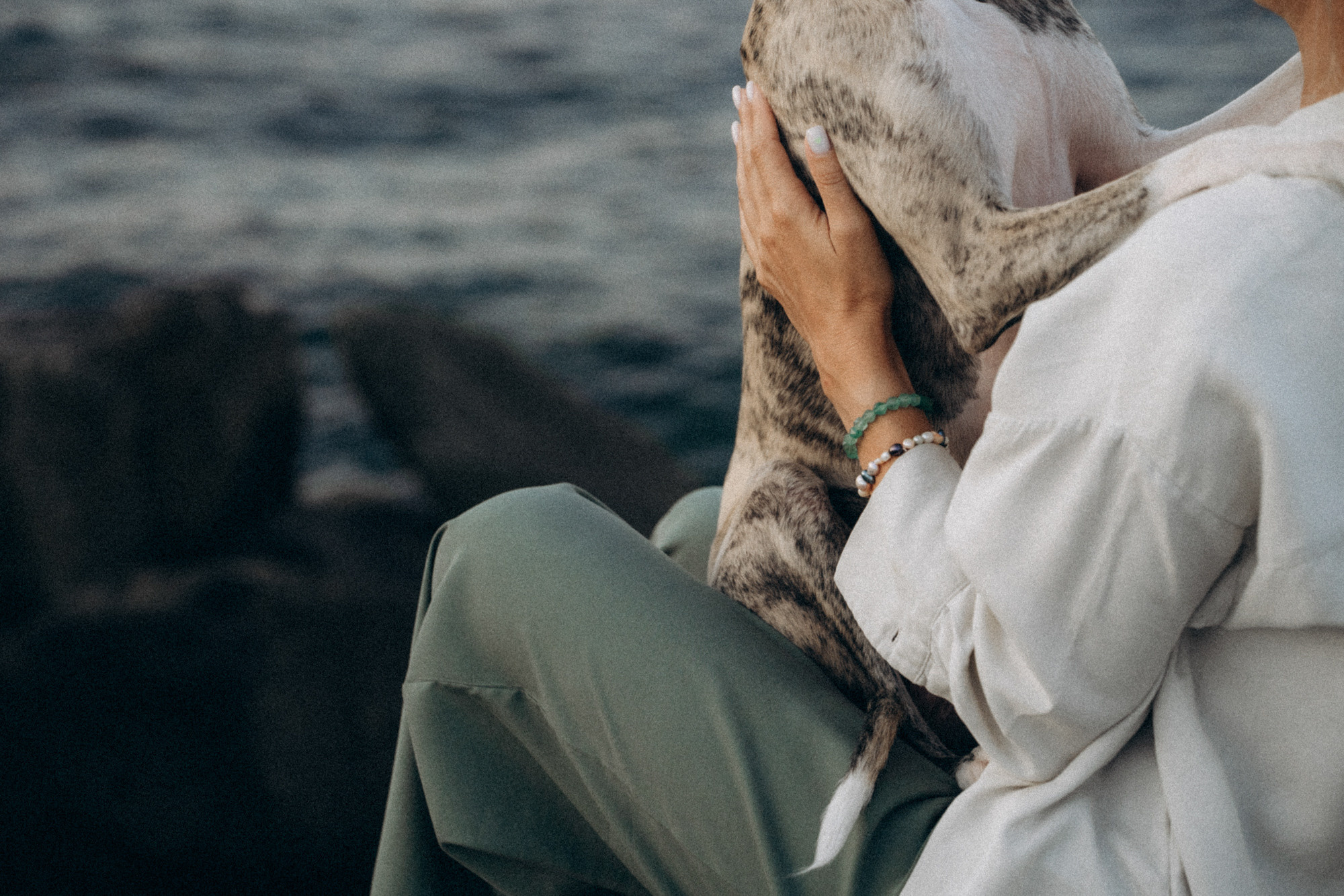 Аня и Джованни. Фотограф анималист в Москве и Санкт-Петербурге Свиридова Анна