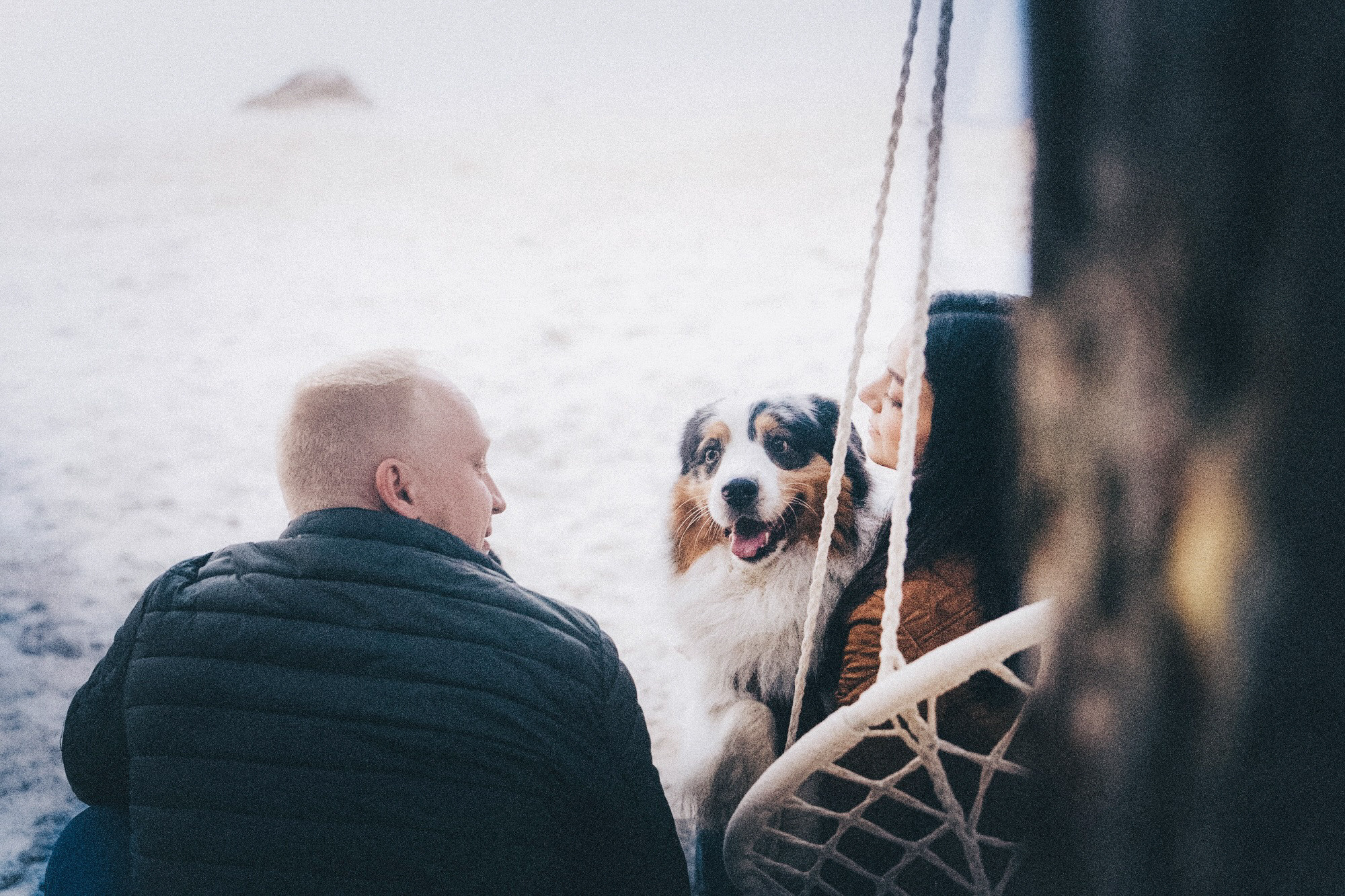 Аня, Игорь, Аусь и Хась. Фотограф анималист в Москве и Санкт-Петербурге Свиридова Анна