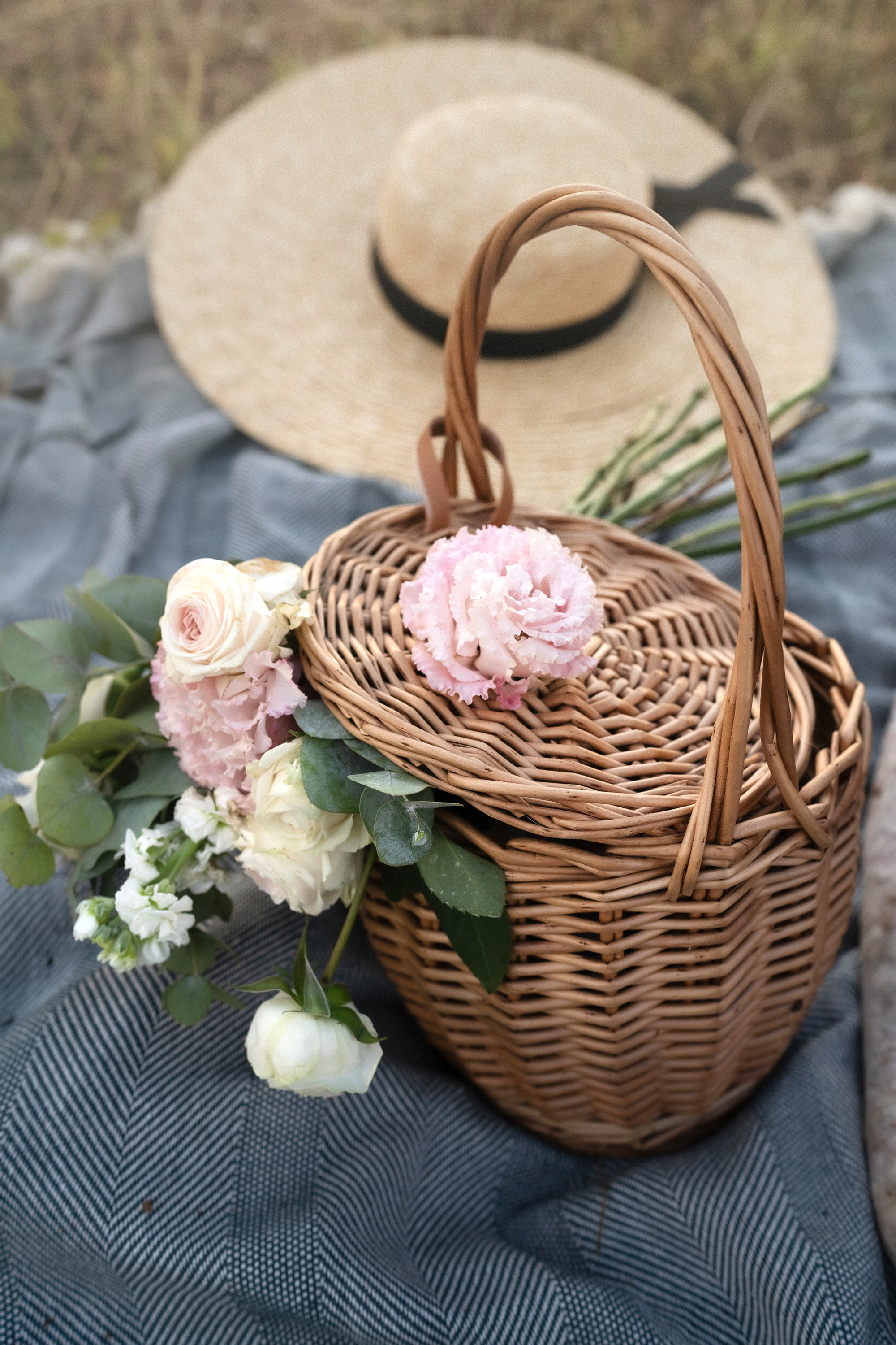 Катя, Вася, Роки и Бэлла. Фотограф анималист в Москве и Санкт-Петербурге Свиридова Анна