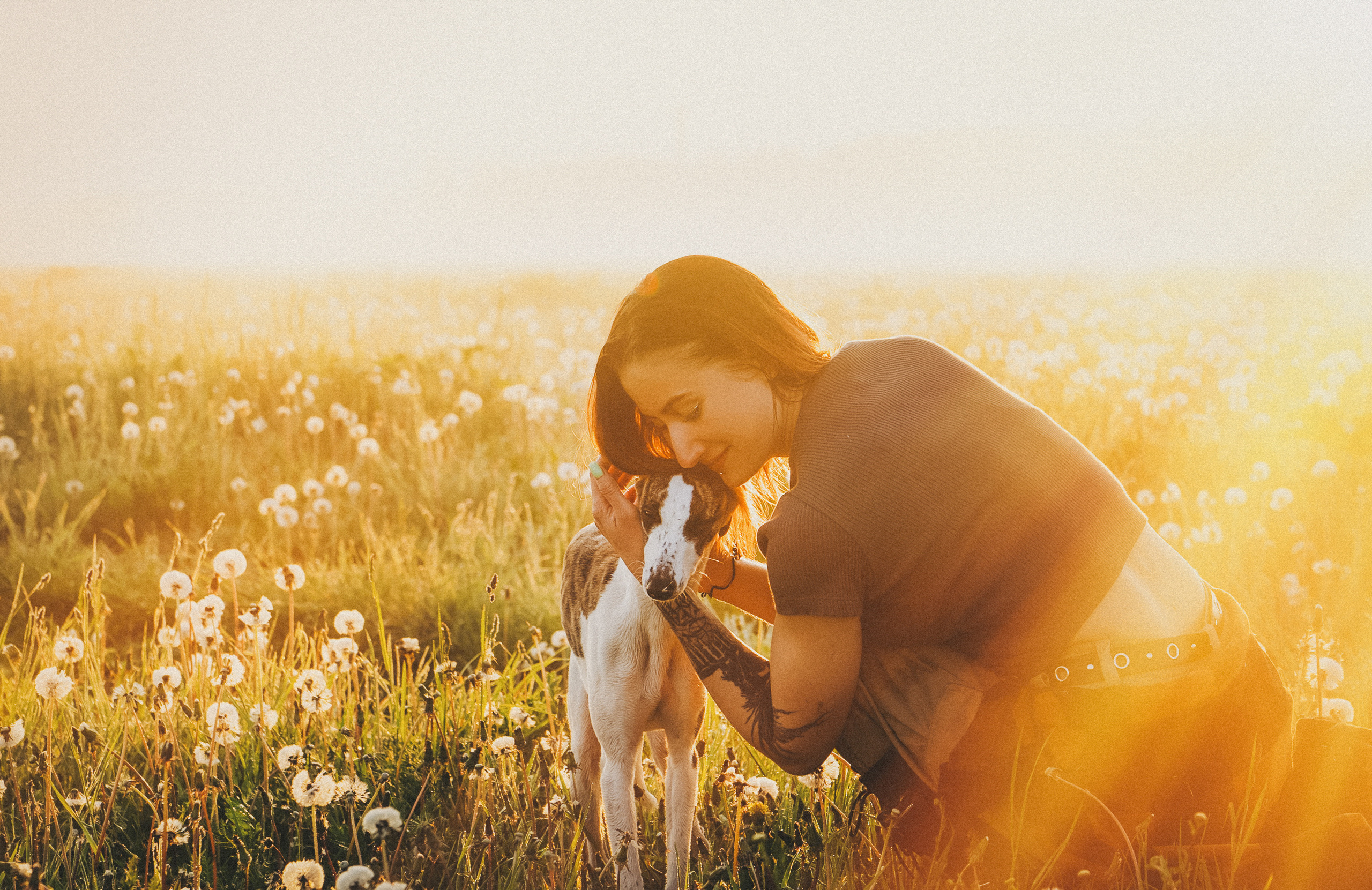 Софа, Уна и Лють. Фотограф анималист в Москве и Санкт-Петербурге Свиридова Анна