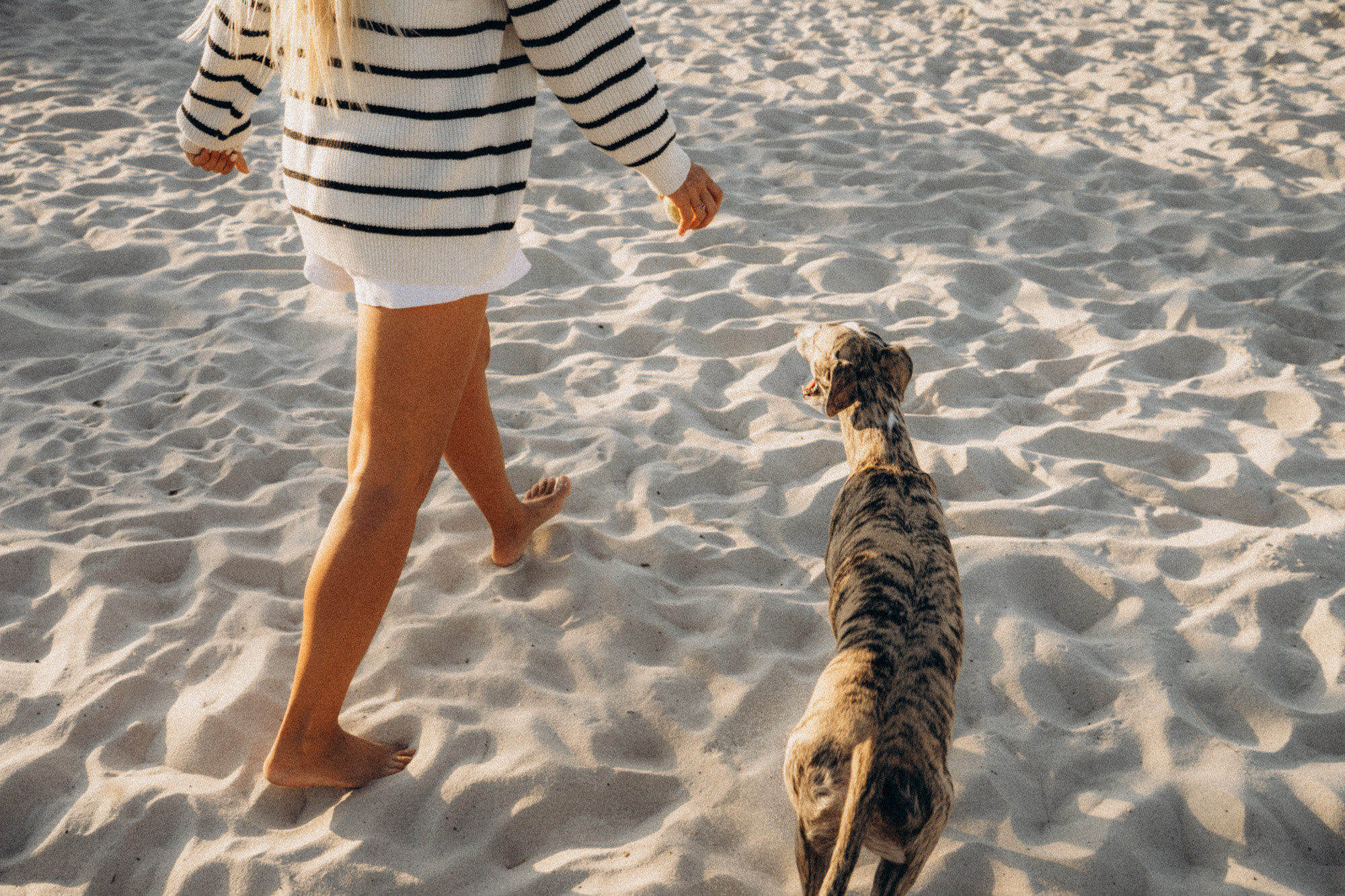 Аня и Джованни. Фотограф анималист в Москве и Санкт-Петербурге Свиридова Анна