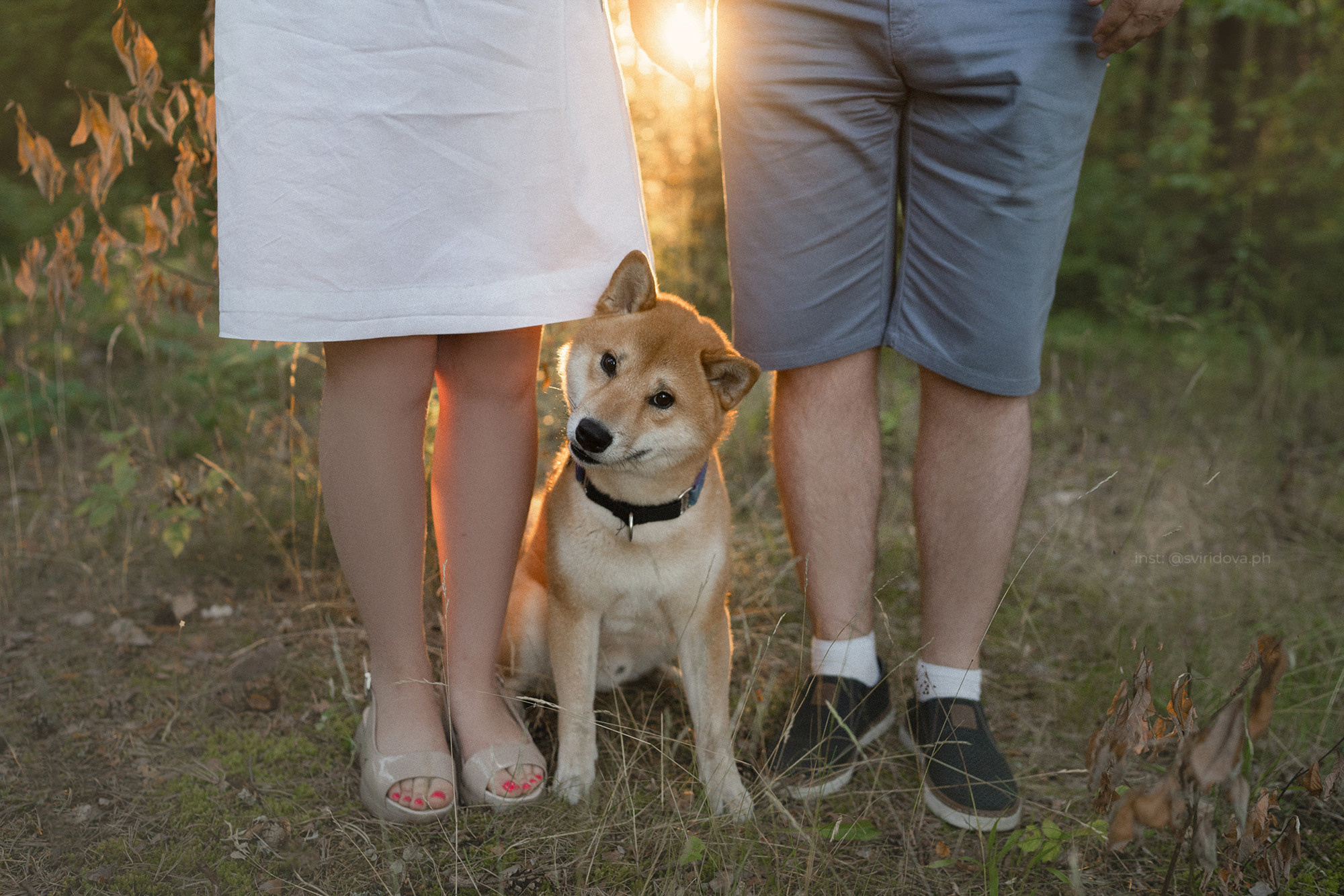 Даша, Сергей и Френки. Фотограф анималист в Москве и Санкт-Петербурге Свиридова Анна