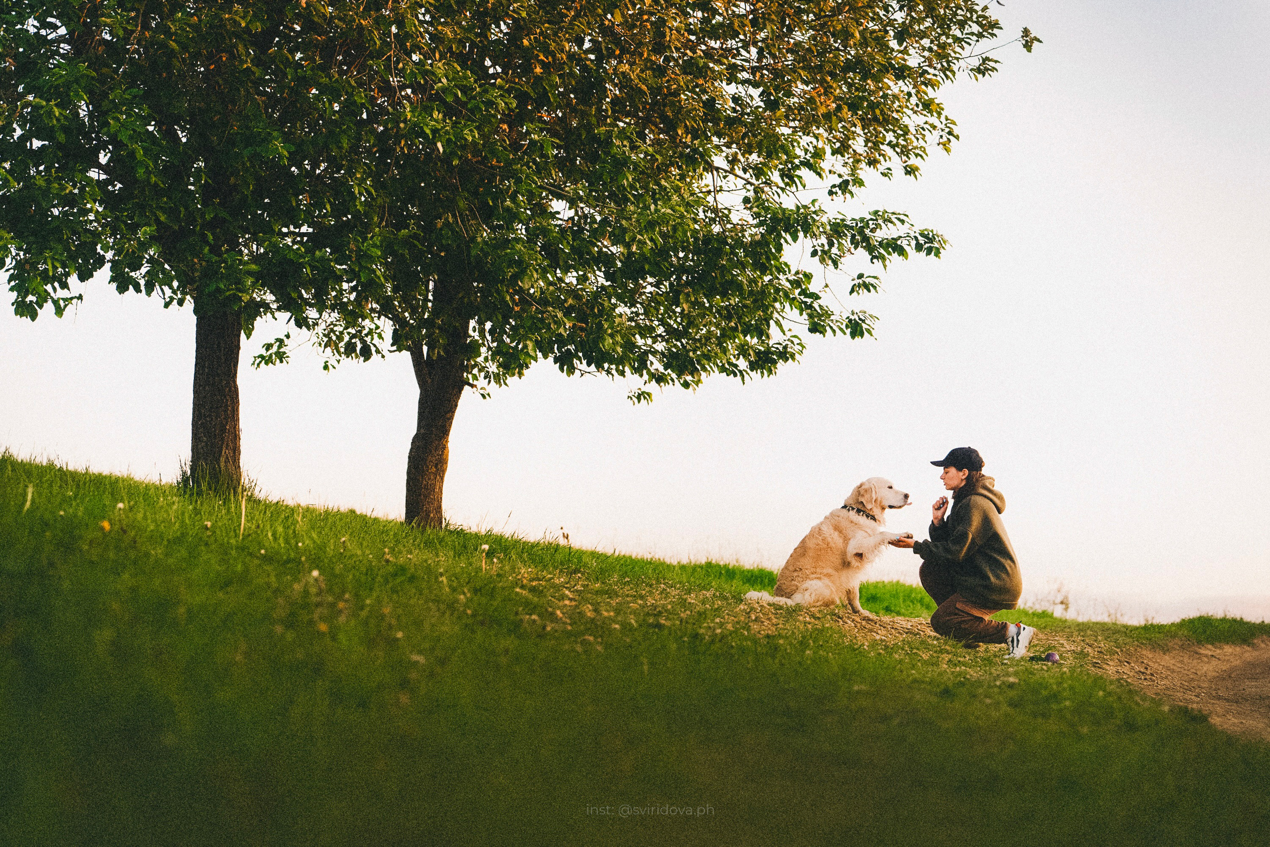 Настя и Арчи. Фотограф анималист в Москве и Санкт-Петербурге Свиридова Анна