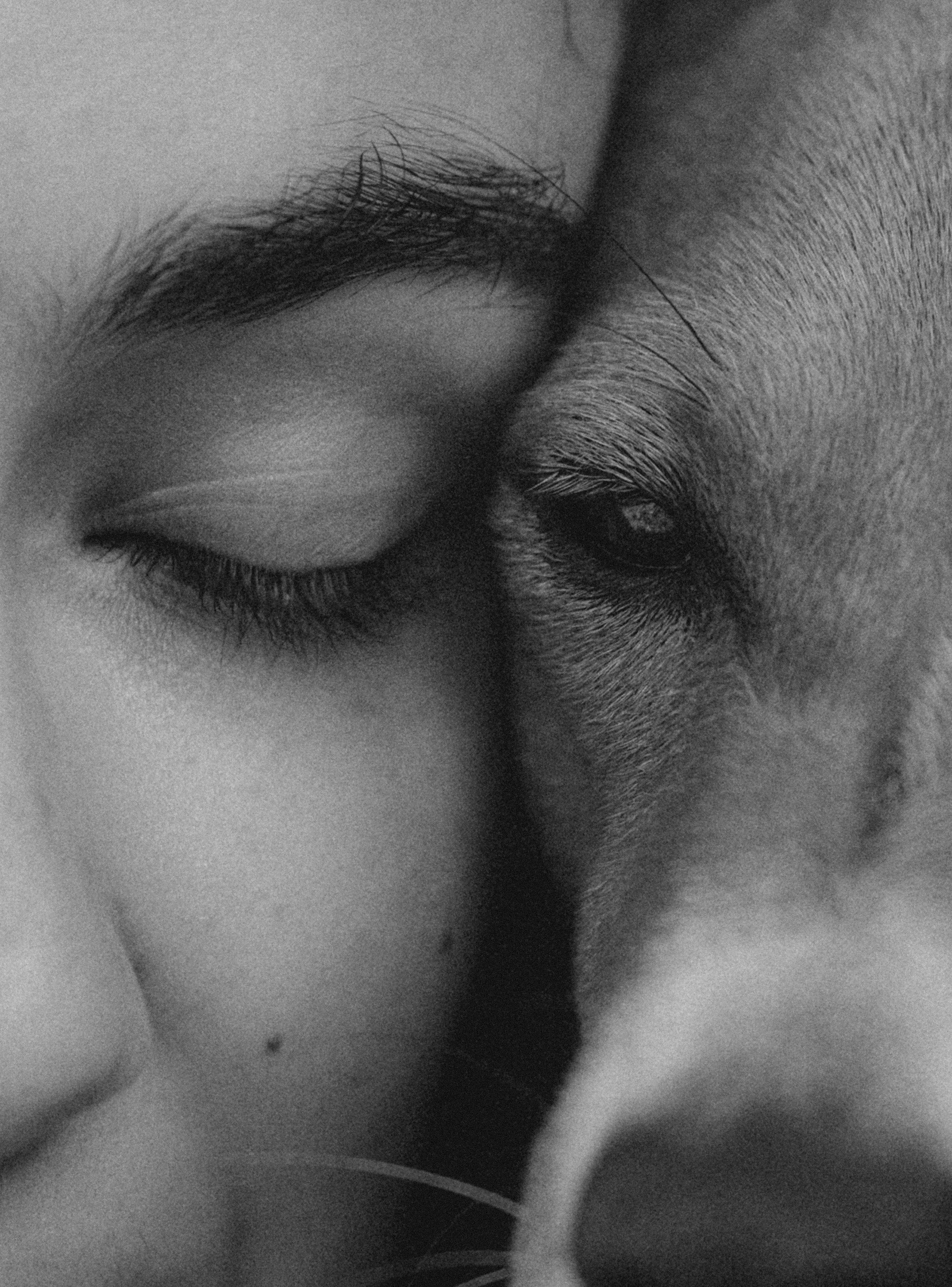 Арина и Рики. Фотограф анималист в Москве и Санкт-Петербурге Свиридова Анна