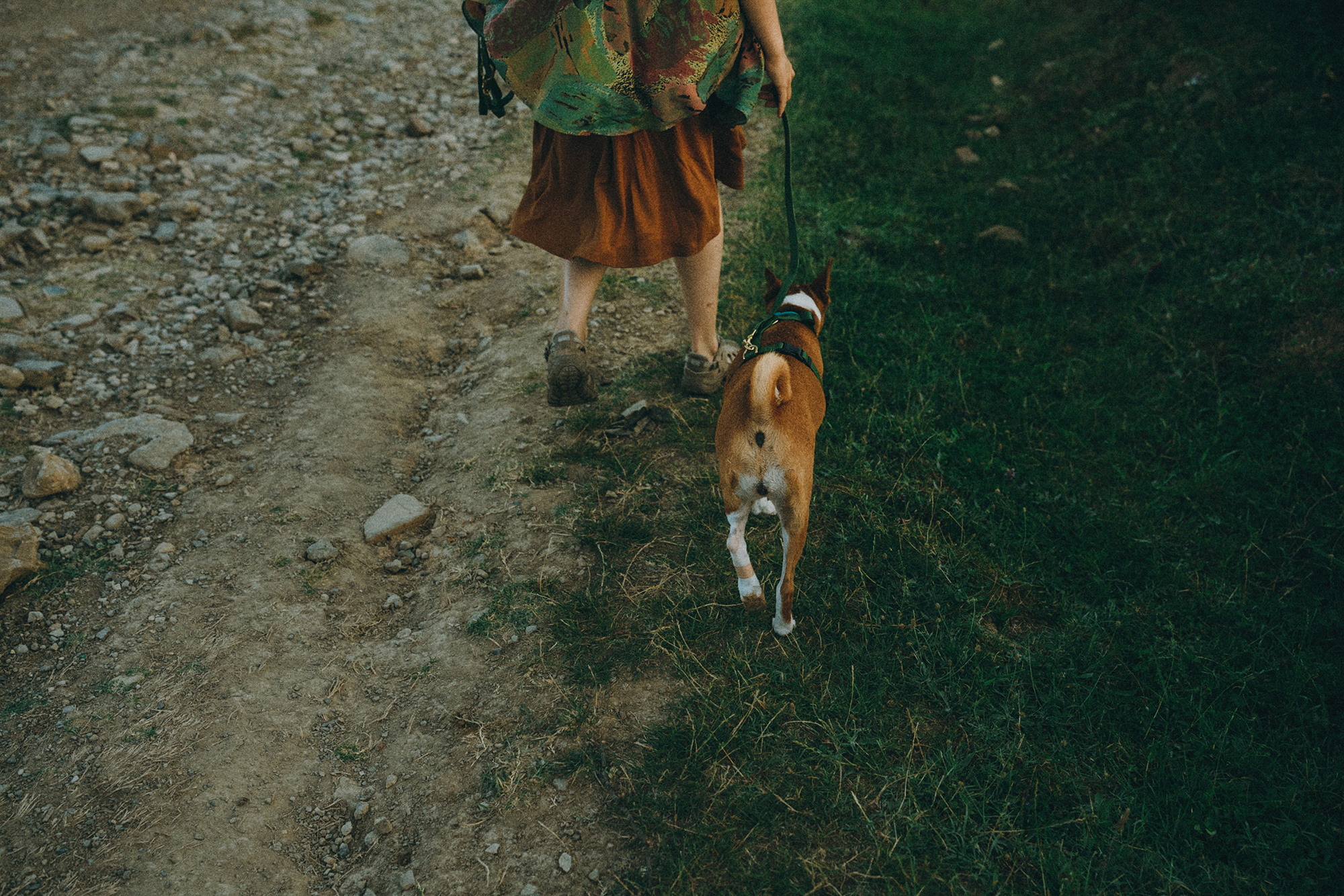 Арина и Рики. Фотограф анималист в Москве и Санкт-Петербурге Свиридова Анна
