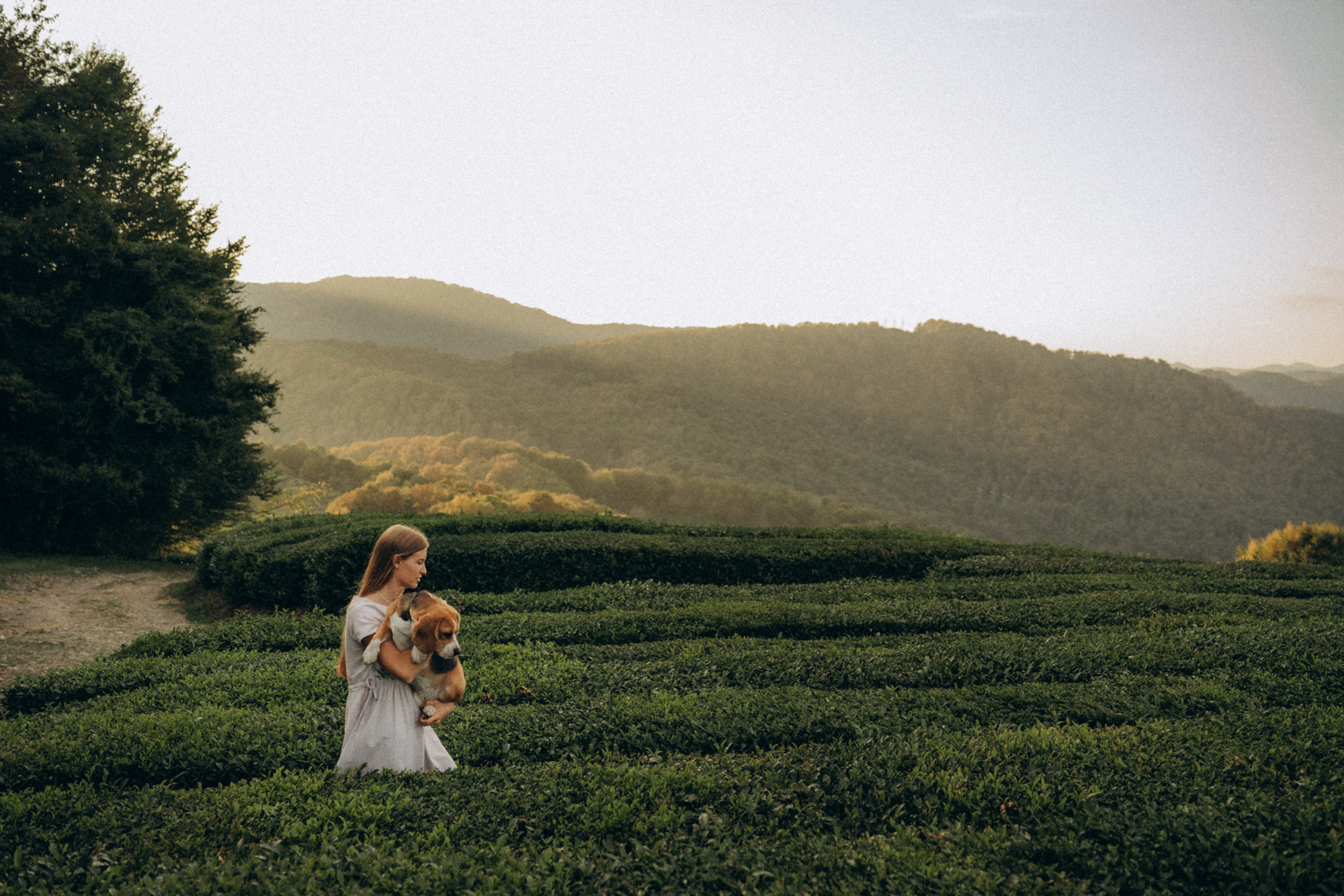 Женя и Мира. Фотограф анималист в Москве и Санкт-Петербурге Свиридова Анна