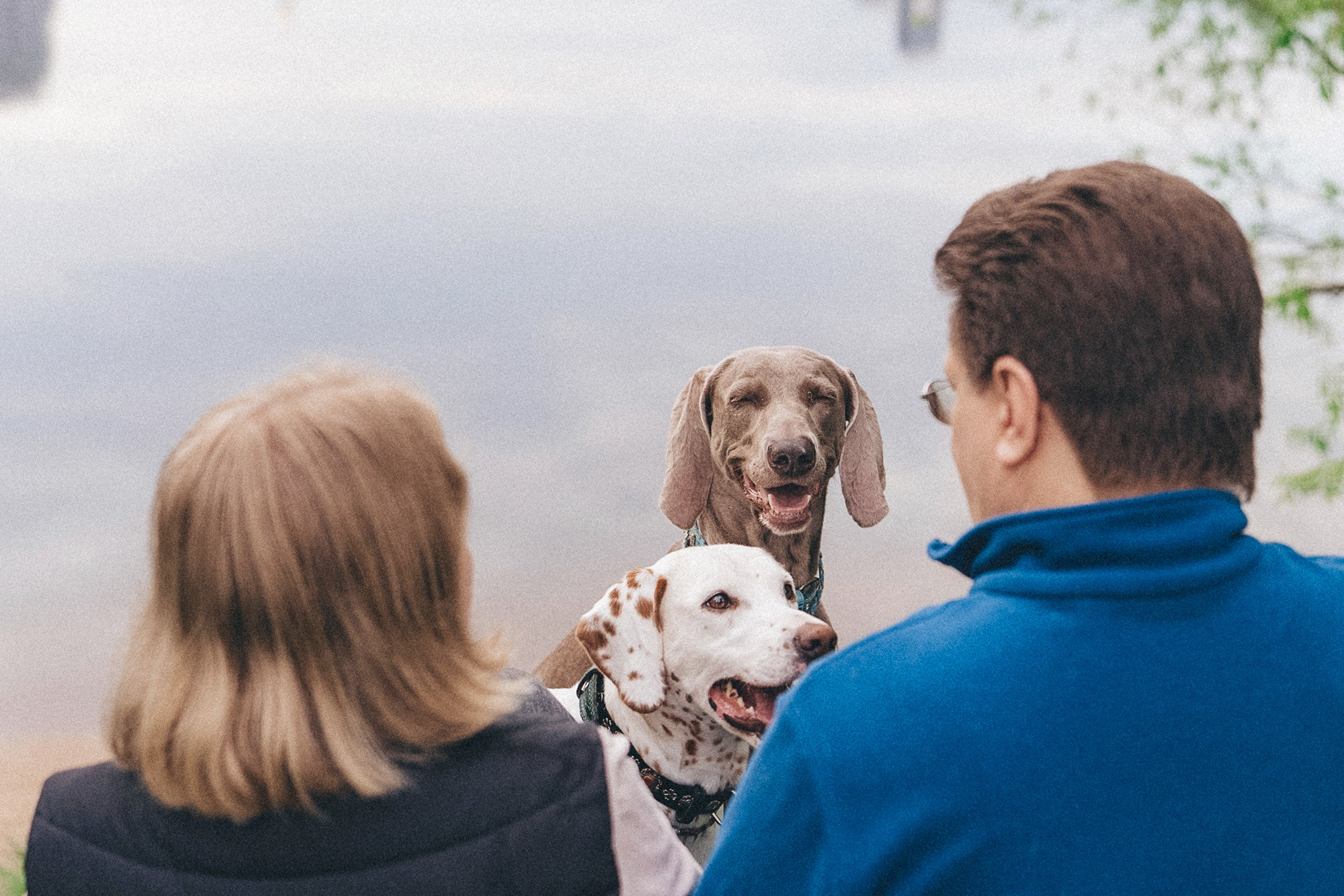 Полина, Борис, Луна и Эль. Фотограф анималист в Москве и Санкт-Петербурге Свиридова Анна