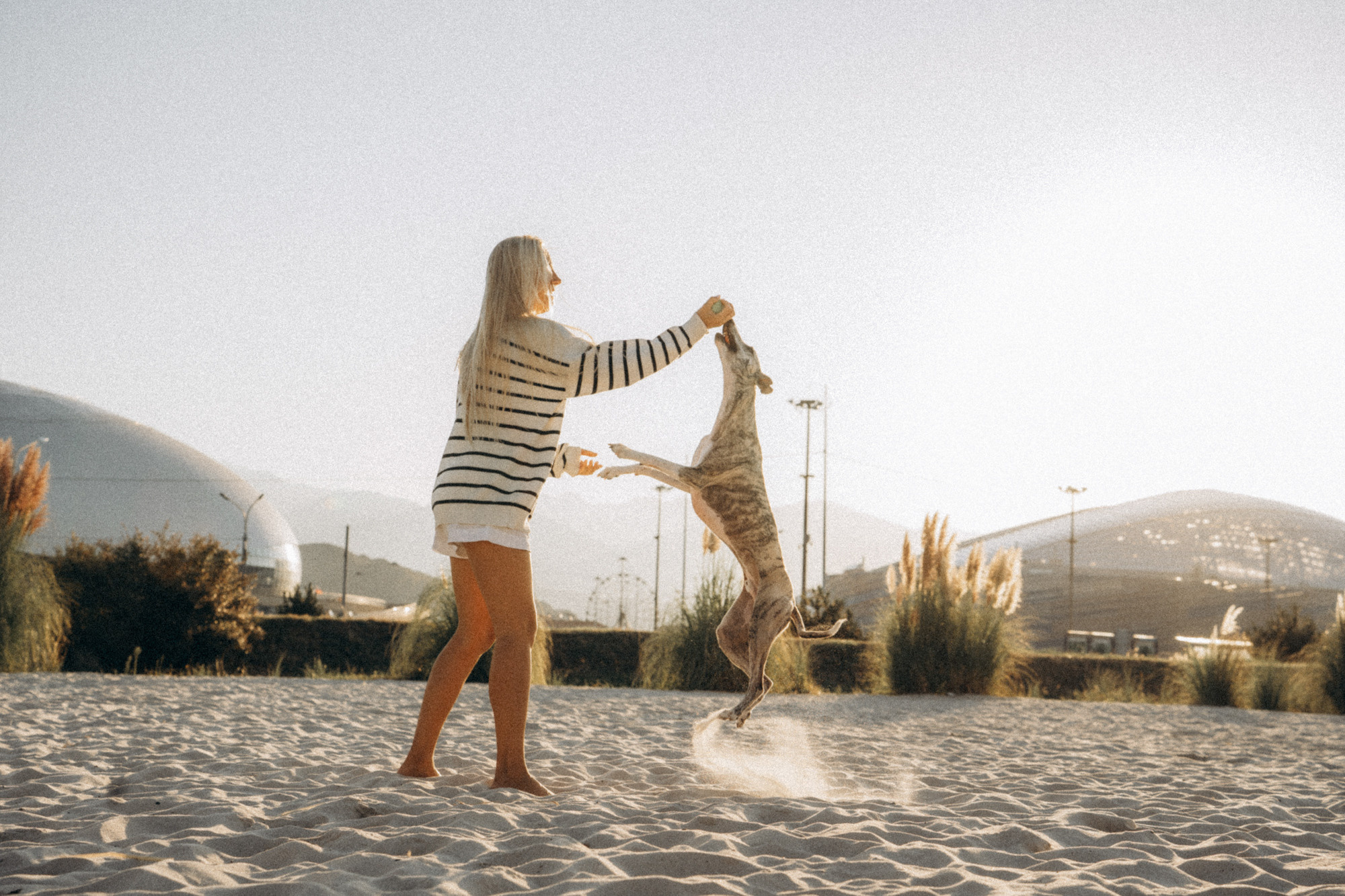Аня и Джованни. Фотограф анималист в Москве и Санкт-Петербурге Свиридова Анна