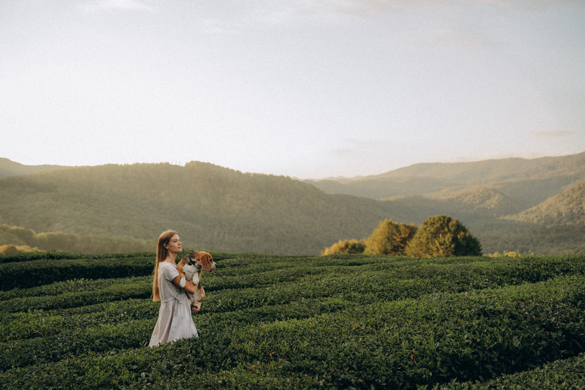 Женя и Мира. Фотограф анималист в Москве и Санкт-Петербурге Свиридова Анна