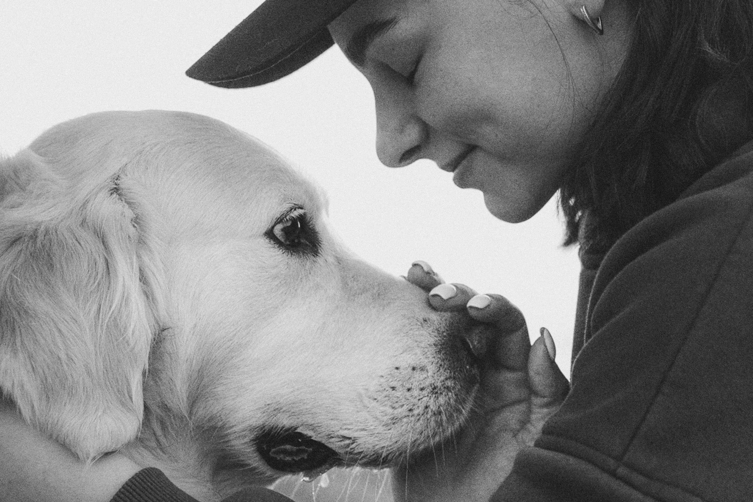Настя и Арчи. Фотограф анималист в Москве и Санкт-Петербурге Свиридова Анна