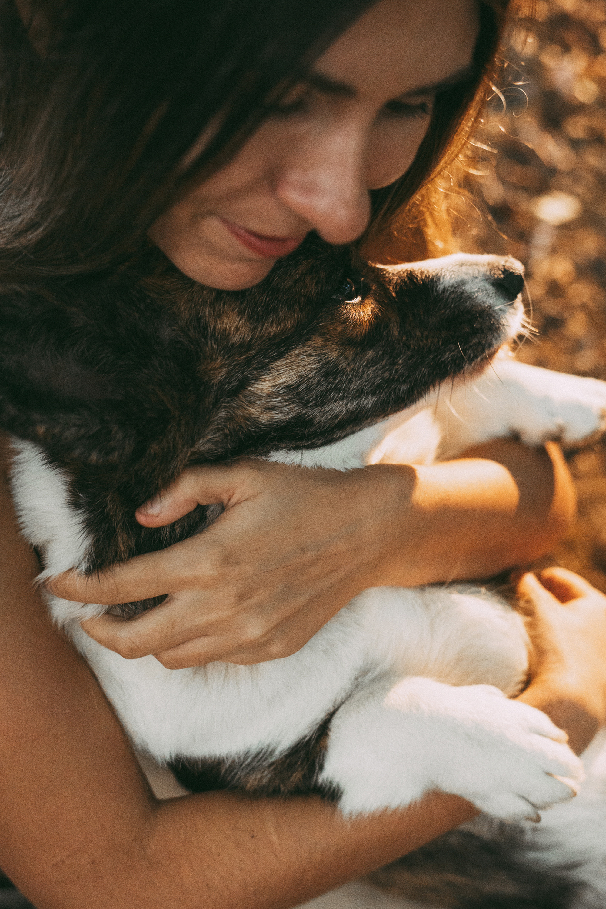 Влада и Коржики. Фотограф анималист в Москве и Санкт-Петербурге Свиридова Анна