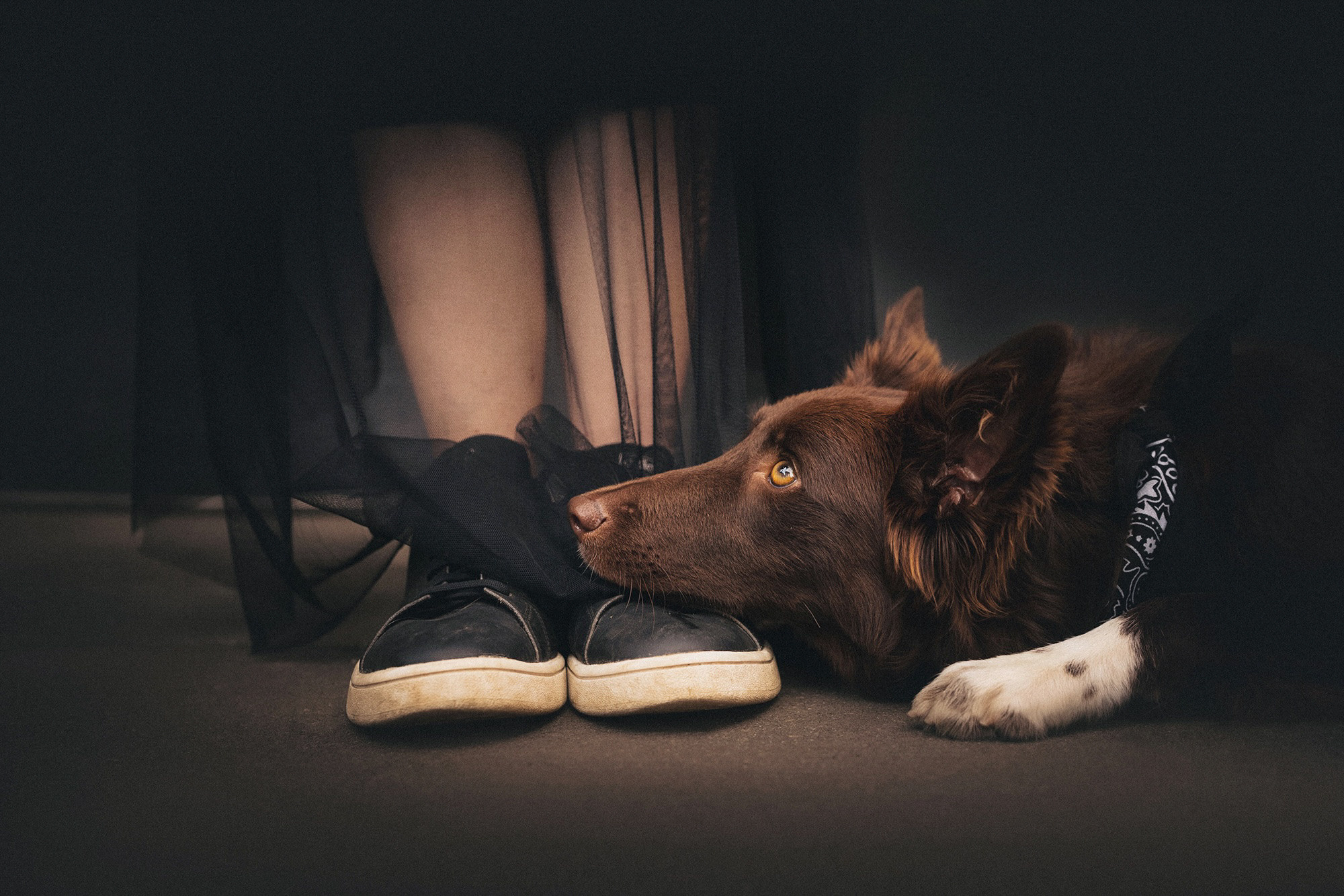 Аня и Брук. Фотограф анималист в Москве и Санкт-Петербурге Свиридова Анна