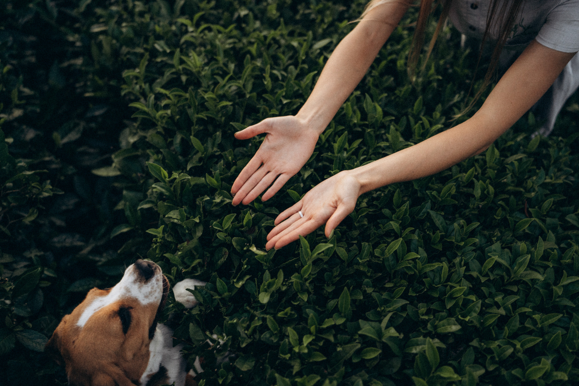 Женя и Мира. Фотограф анималист в Москве и Санкт-Петербурге Свиридова Анна