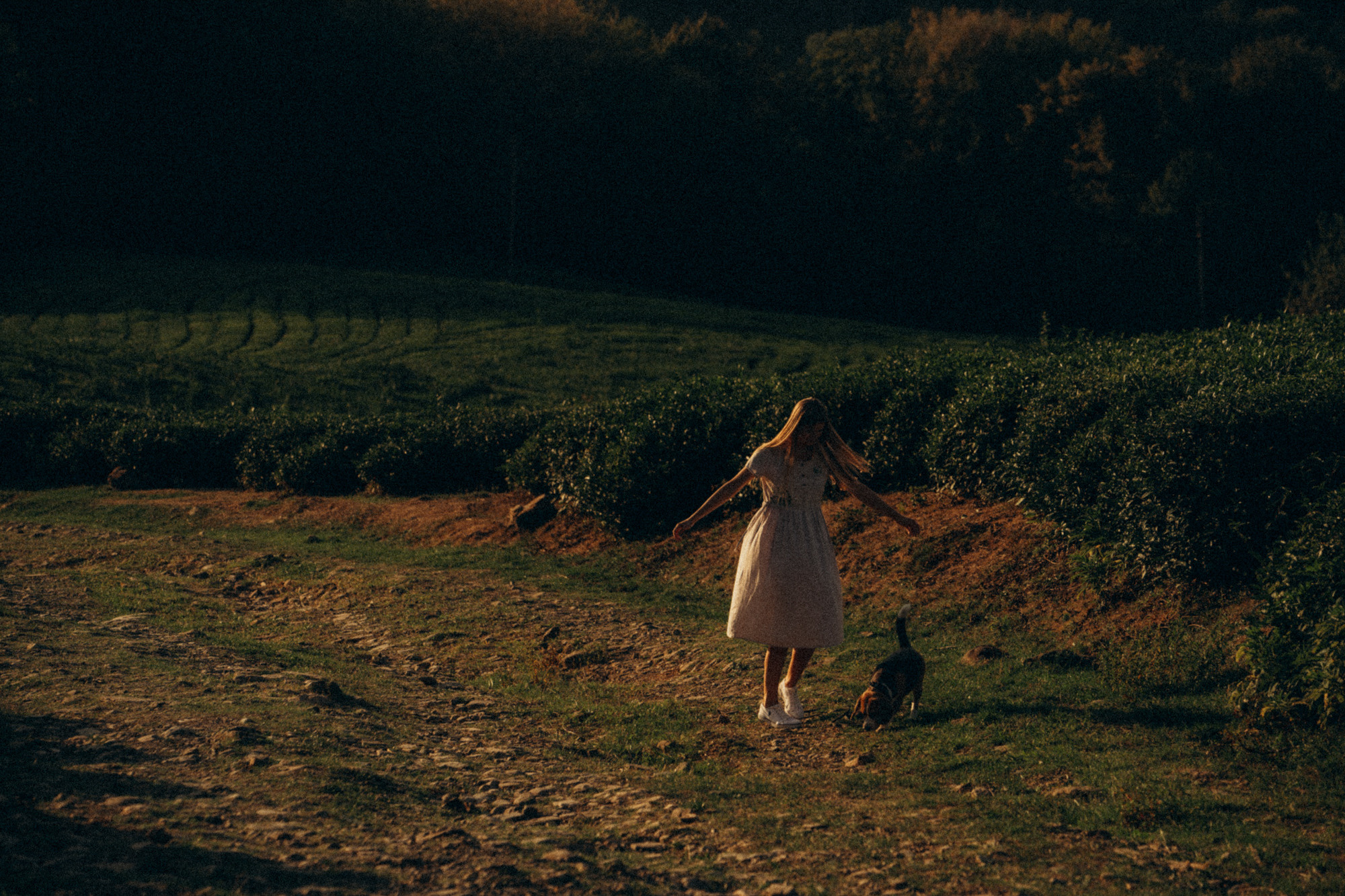 Женя и Мира. Фотограф анималист в Москве и Санкт-Петербурге Свиридова Анна