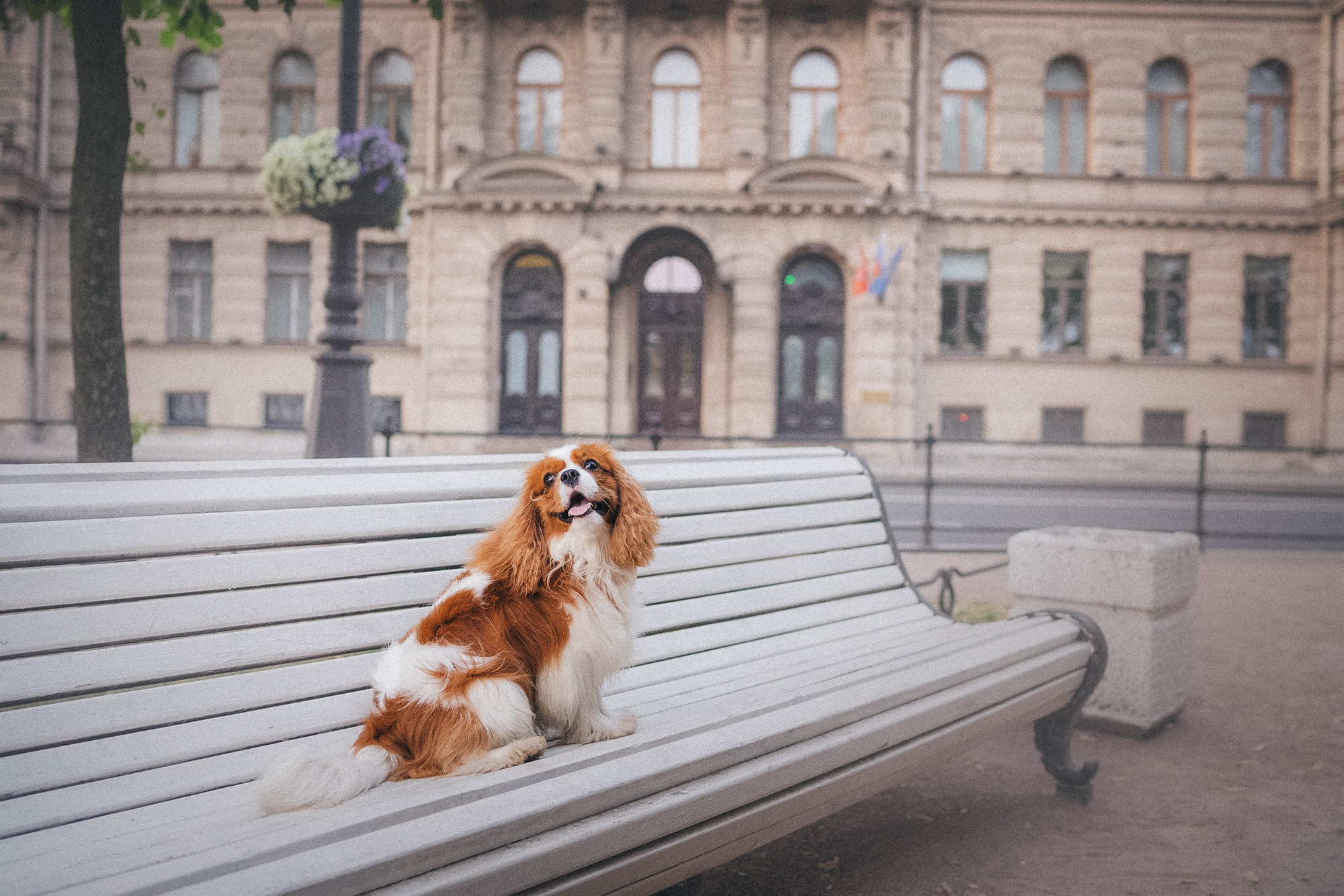 Таня и Лео. Фотограф анималист в Москве и Санкт-Петербурге Свиридова Анна