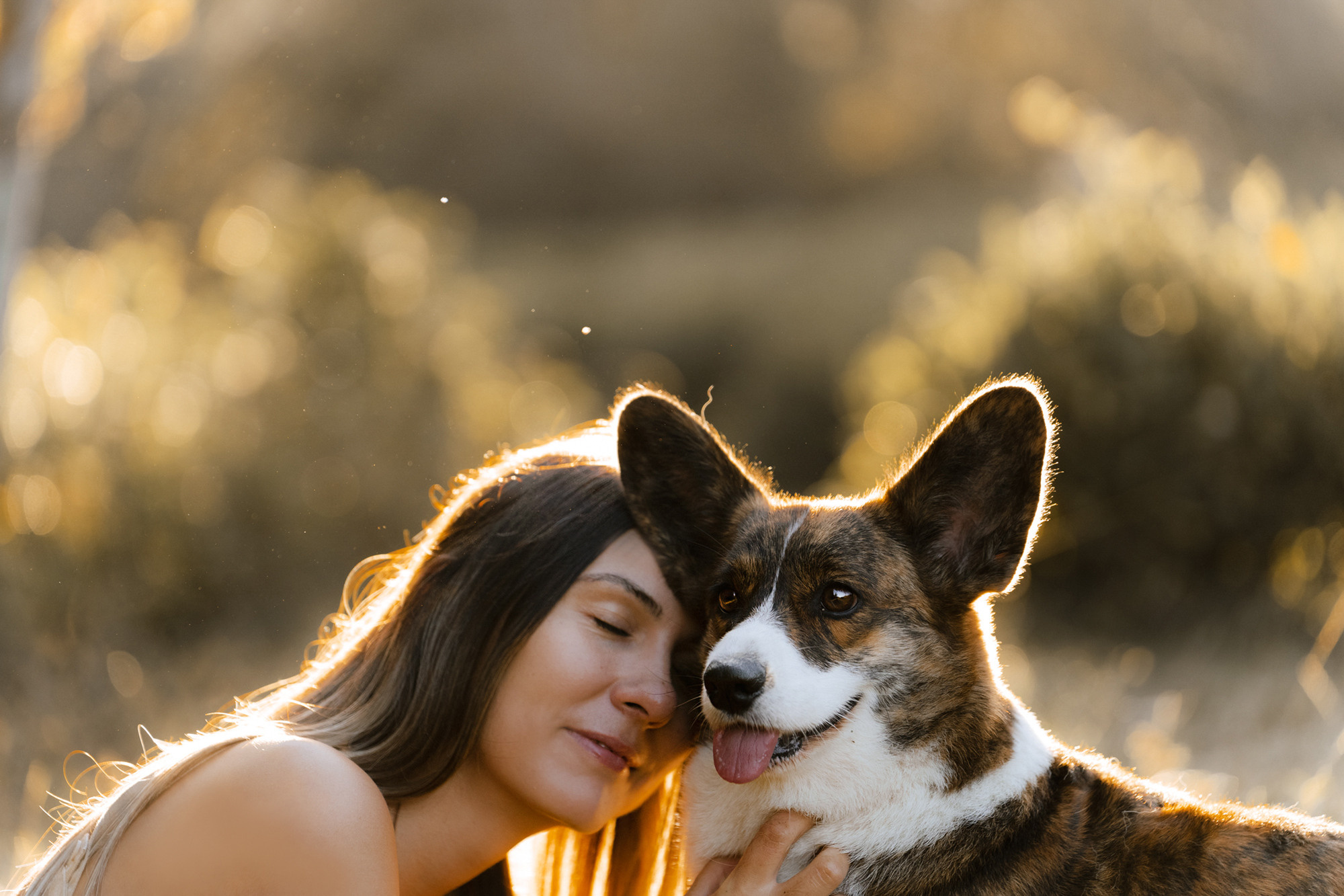 Влада и Коржики. Фотограф анималист в Москве и Санкт-Петербурге Свиридова Анна
